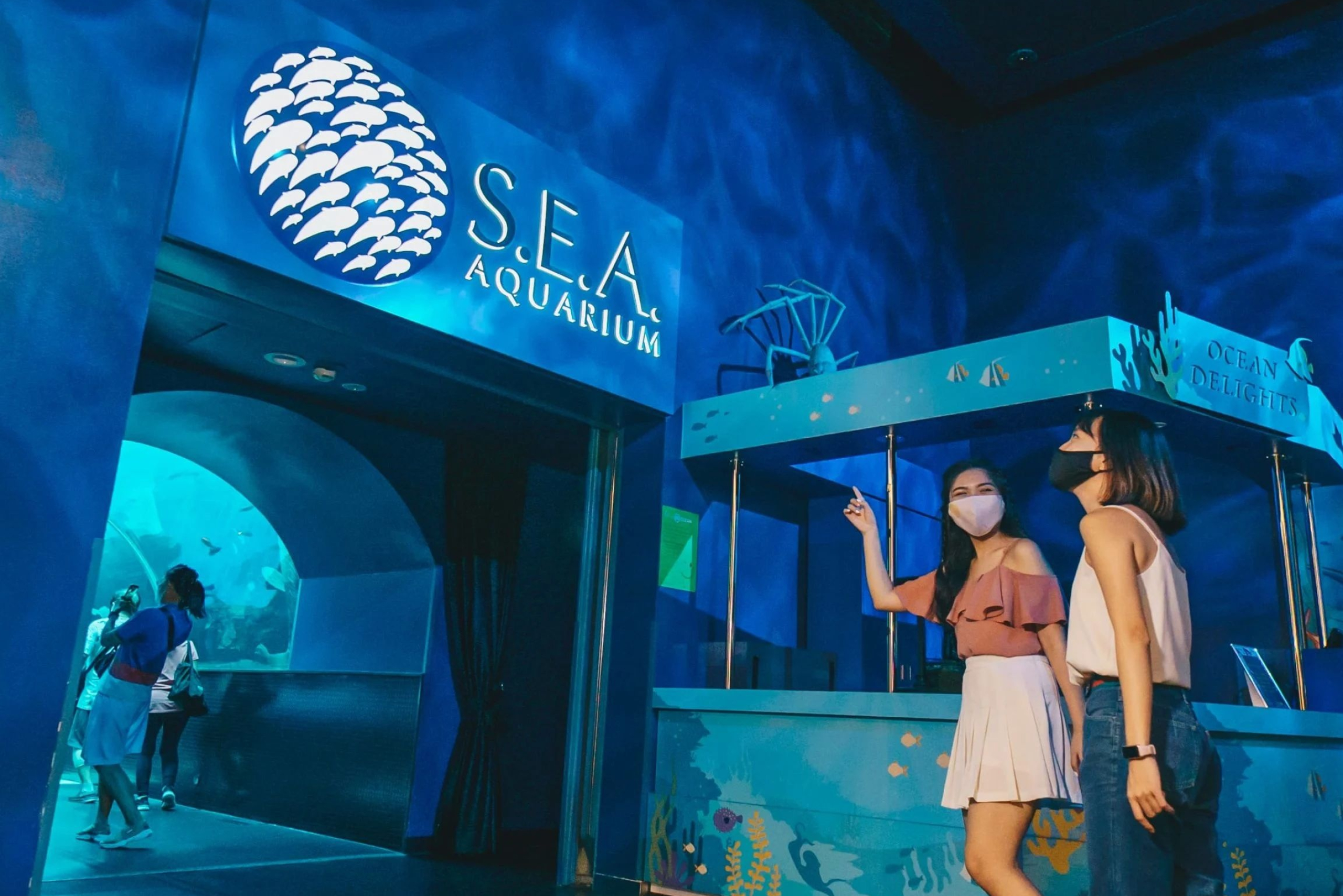 Oceanarium, Sea aquarium renamed Singapore oceanarium, 2560x1710 HD Desktop