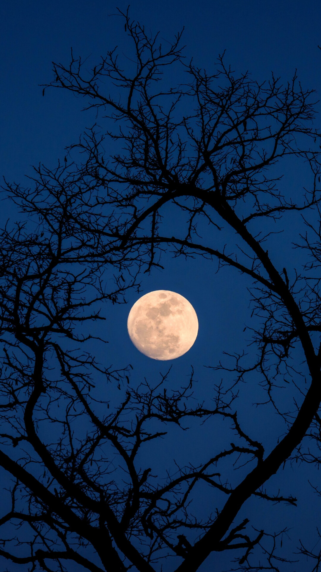 Moon: Celestial bodies, Night sky, Moonlight. 1080x1920 Full HD Background.