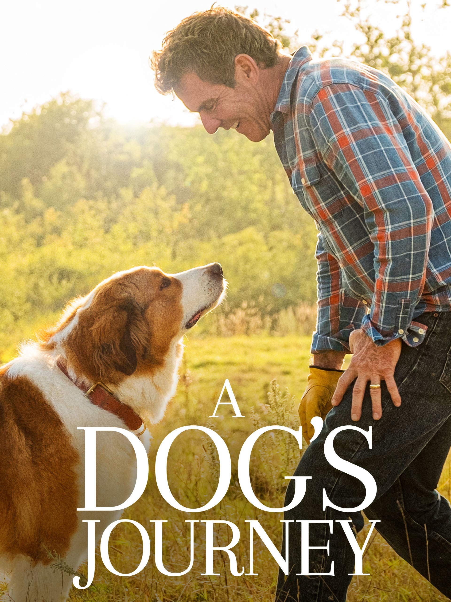 A Dog's Purpose, Top free, Backgrounds, Canine companions, 1920x2560 HD Phone