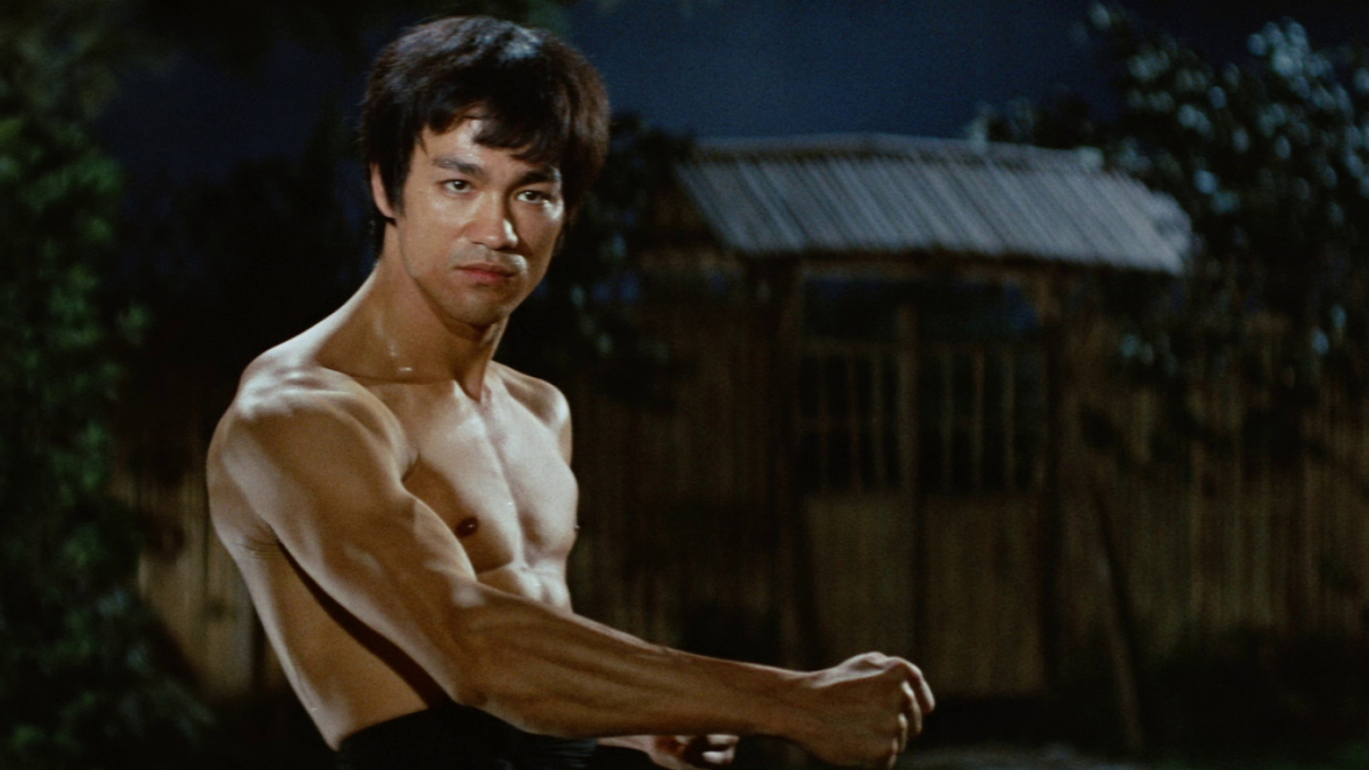 Fist of Fury, Legendary action, Bruce Lee's impact, Timeless fight sequences, 1920x1080 Full HD Desktop