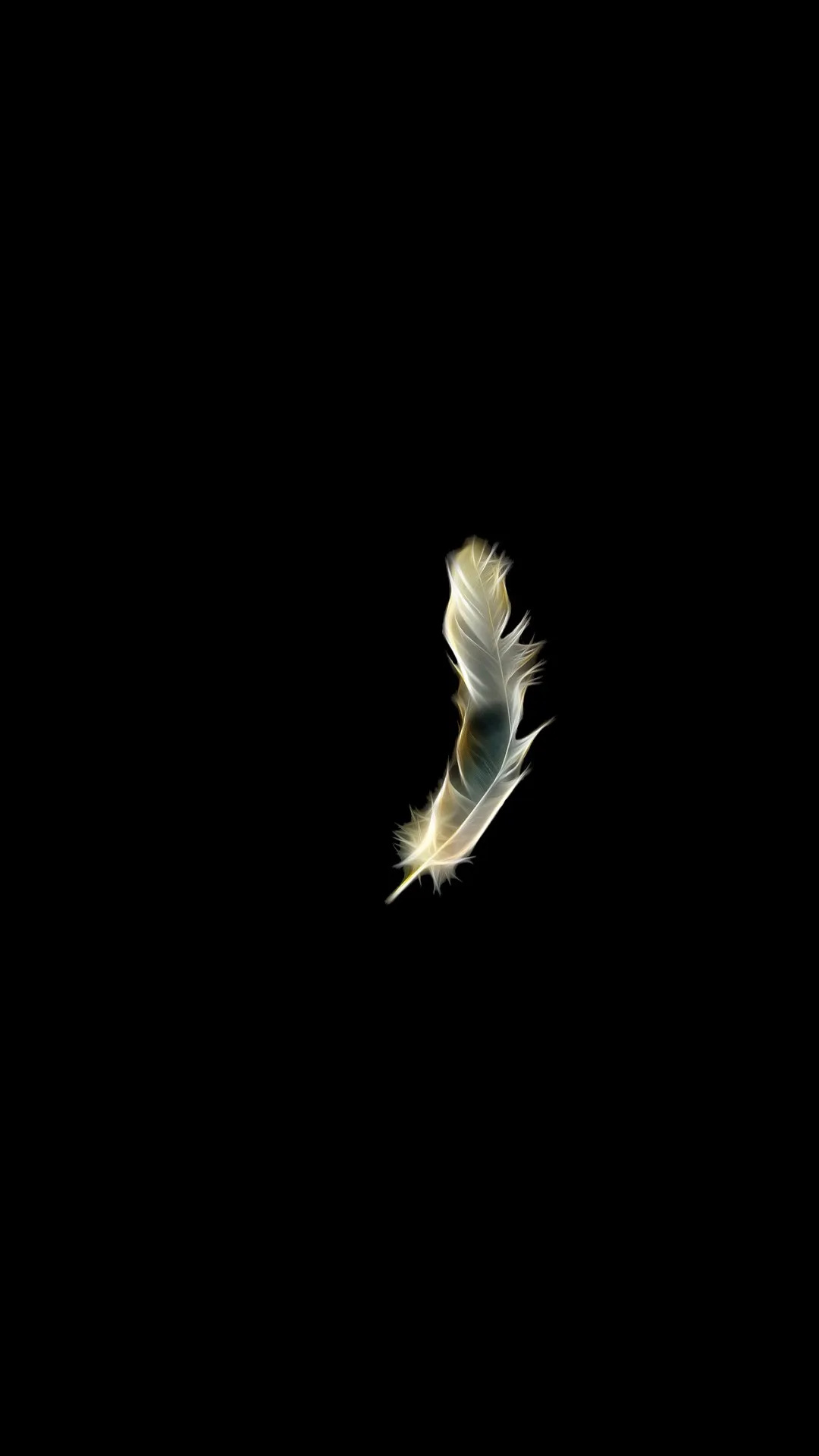 Feather: Contains a central shaft called rachis, with the serial paired branches called barbs. 1080x1920 Full HD Background.