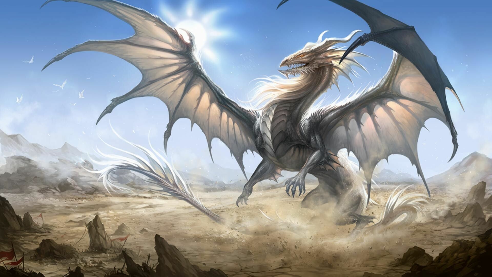 Dragon: A type of serpent, was present on the medieval coat of arms as a decoration. 1920x1080 Full HD Background.
