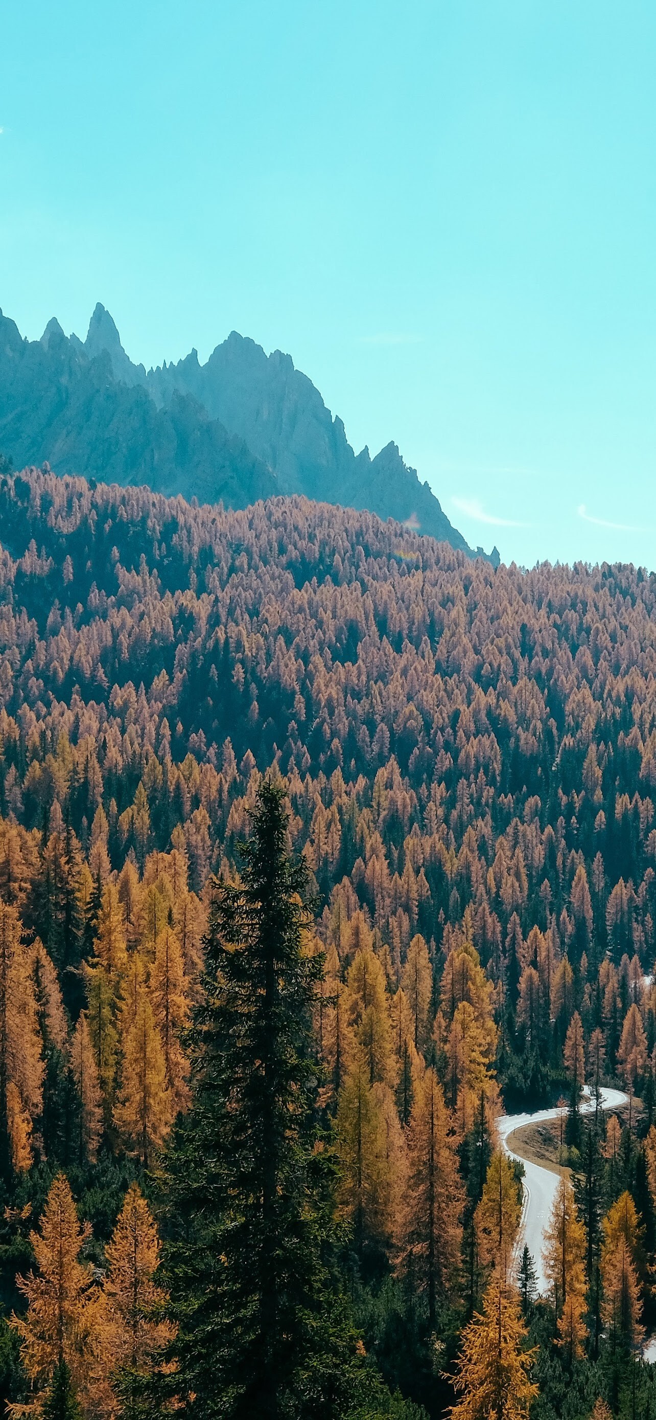 Autumn forest mountain, Stunning views, Tranquil beauty, Captivating scenery, 1290x2780 HD Phone