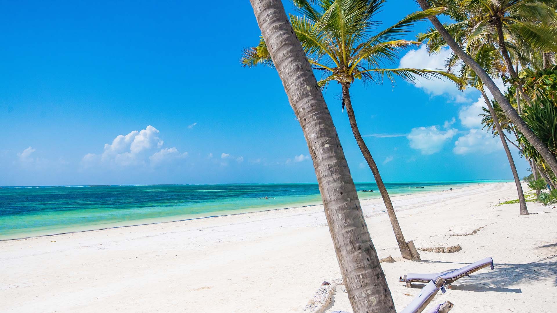 Zanzibar Travels, Stunning beaches, Snorkeling adventures, Relaxation bliss, 1920x1080 Full HD Desktop