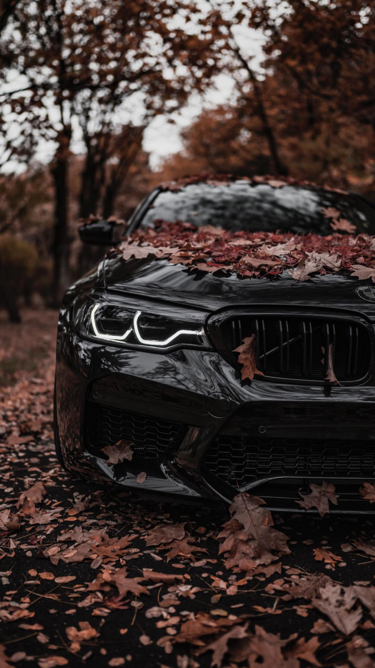 BMW: A German automotive manufacturer of luxury vehicles, The automobile industry. 1250x2210 HD Wallpaper.