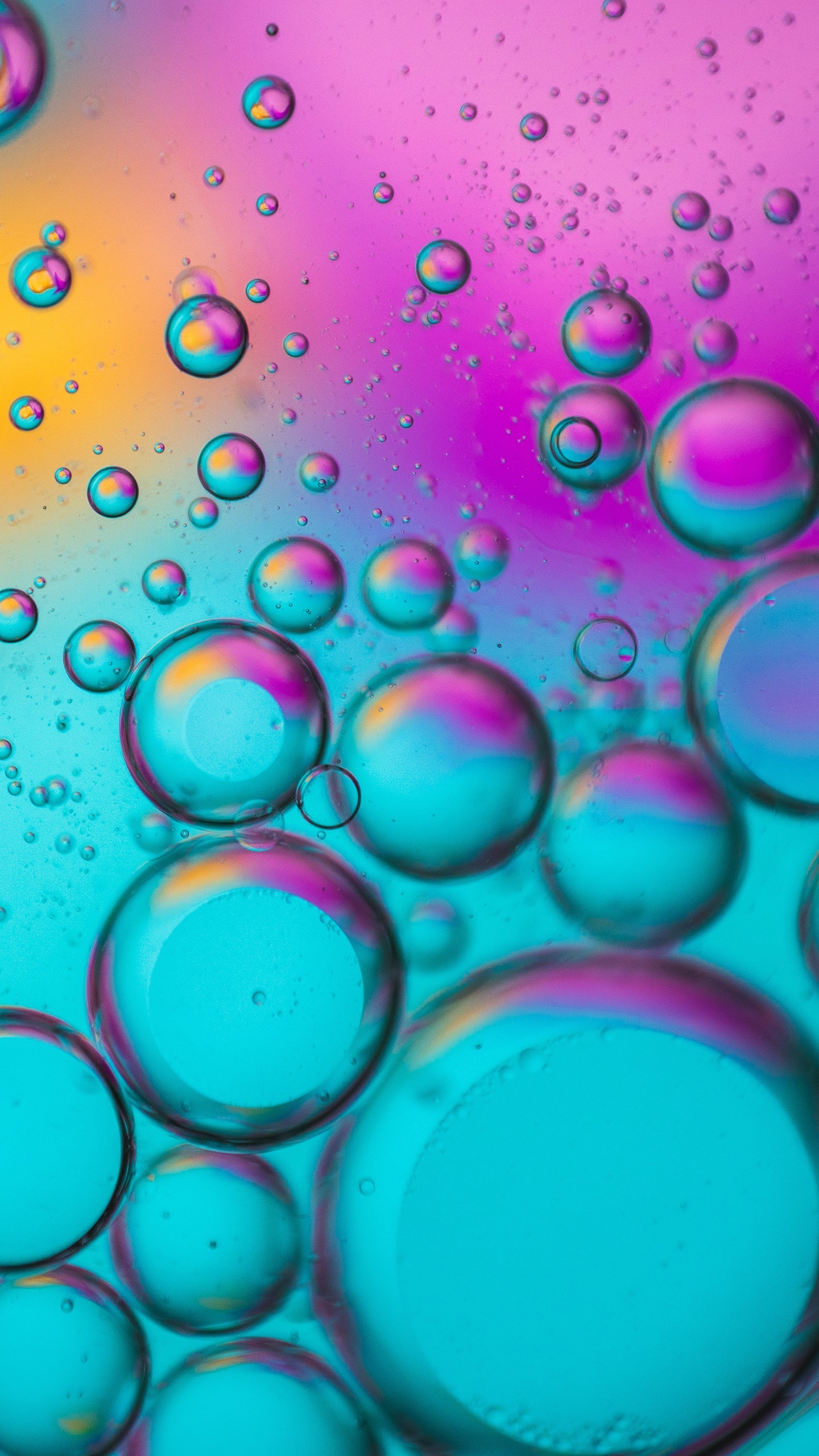 Bubbles wallpaper, Spectrum of colors, Abstract bubbles, Teal and pink gradients, Vivid bubble display, 1440x2560 HD Phone