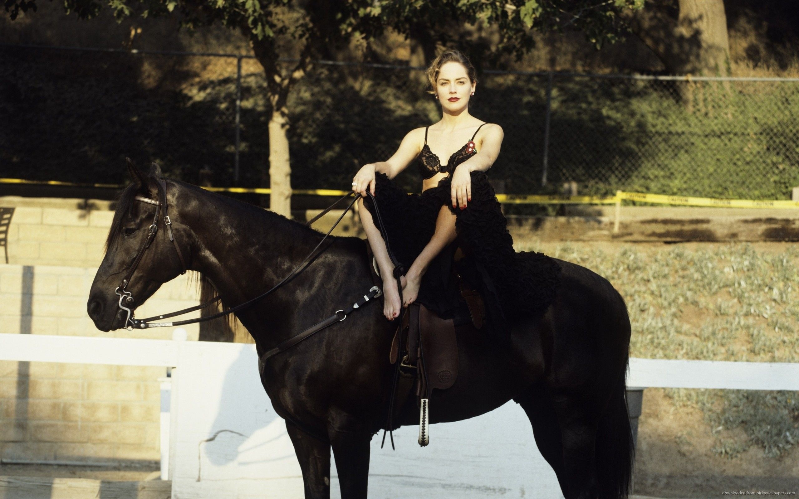 Sharon Stone, Riding a horse, Hollywood beauty, Captivating image, 2560x1600 HD Desktop