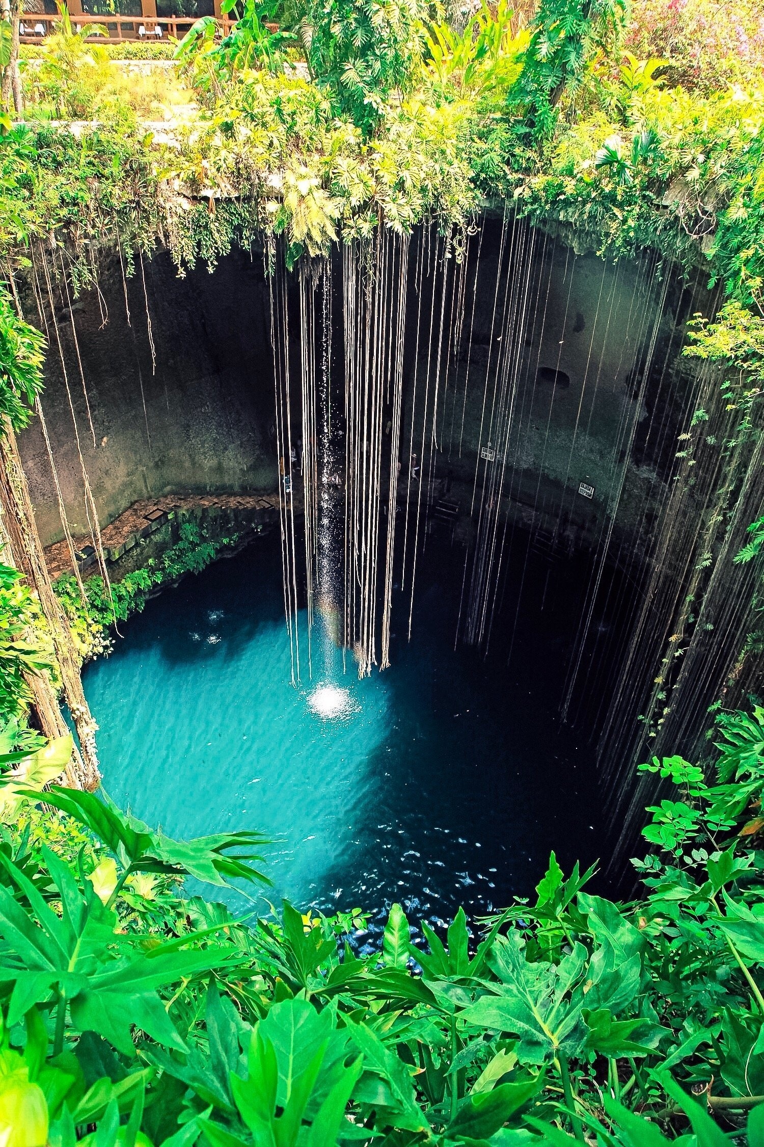 Ik Kil Cenote, Sacred swimming, Explore Shaw, Mexico, 1500x2250 HD Phone