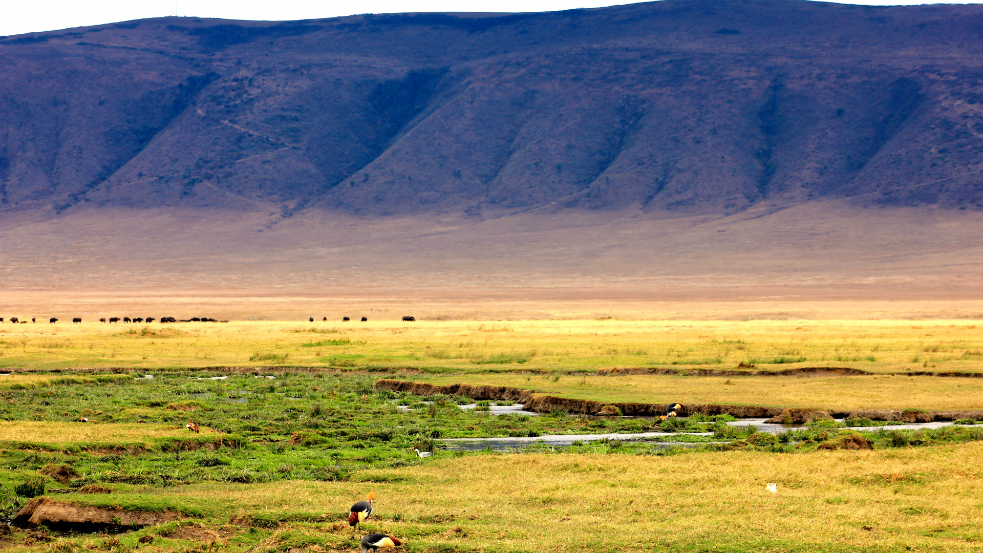 High quality, Ngorongoro Crater Wallpaper, Full HD Pictures, Desktop, Mobile, Tablet, 1920x1080 Full HD Desktop