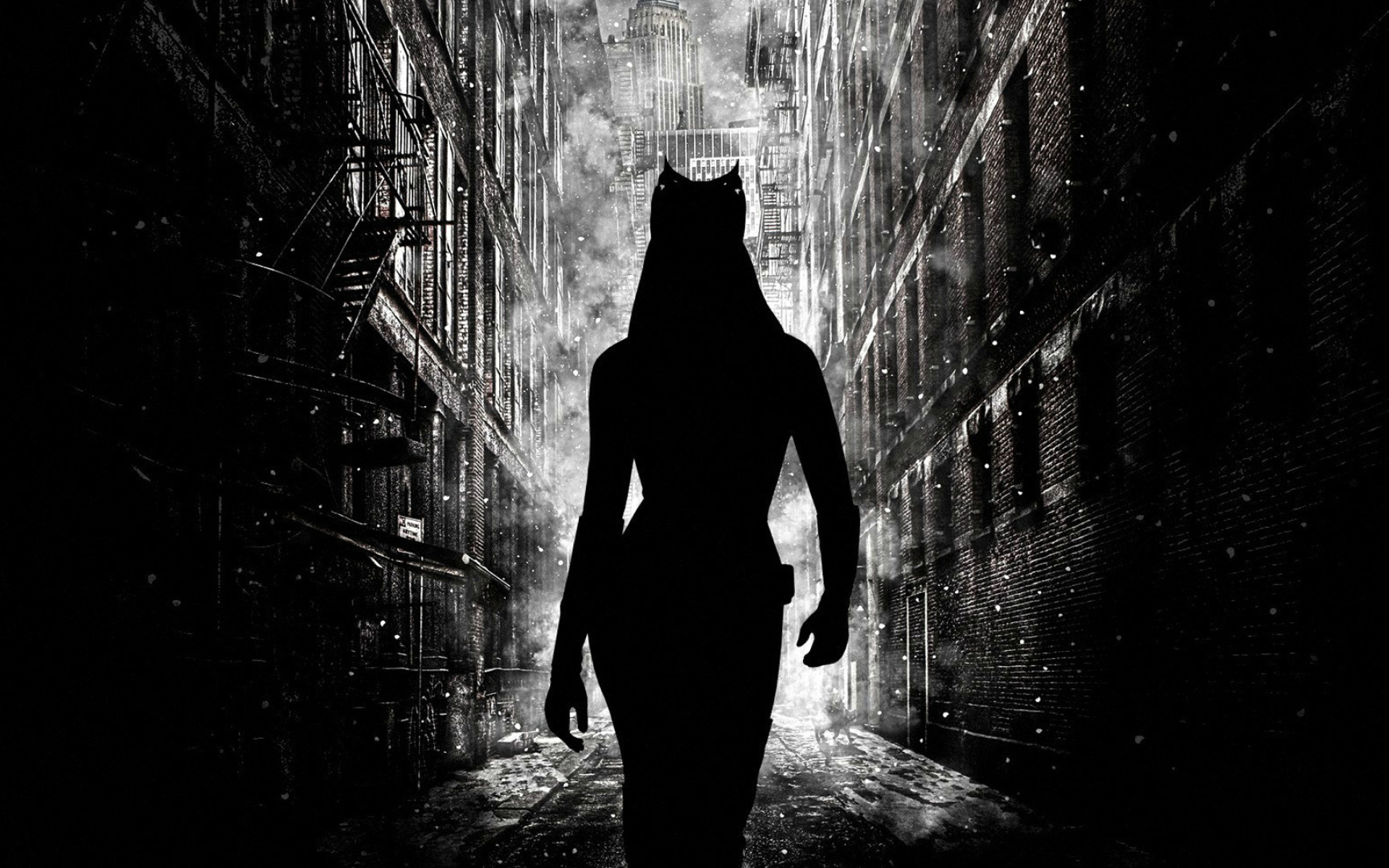 Catwoman (Movie), Movie wallpapers, Seductive allure, Femme fatale, 1920x1200 HD Desktop