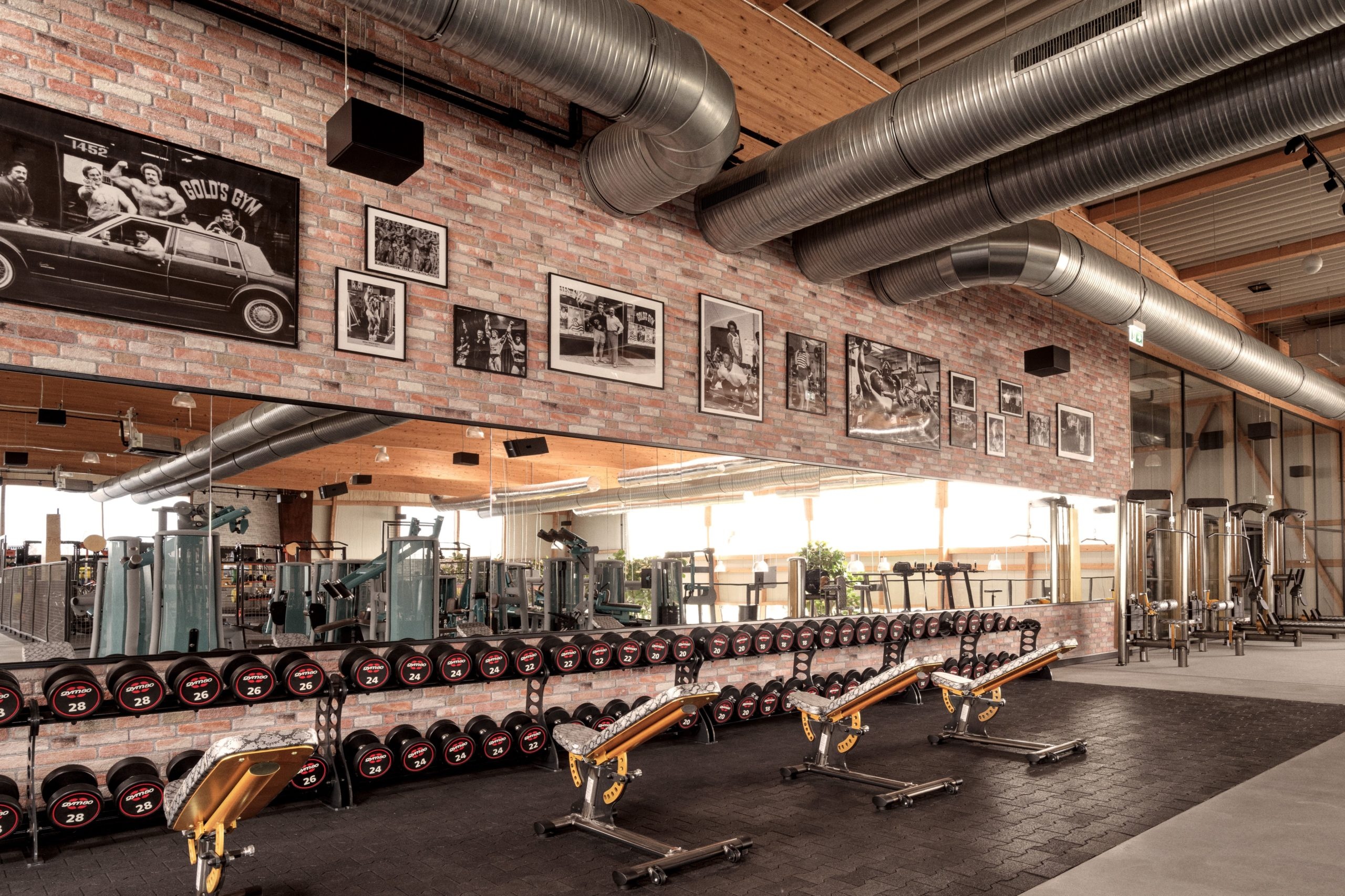 Golds Gym Berlin, Sustainable fitness studio, Business Insider, Fitness excellence, 2560x1710 HD Desktop