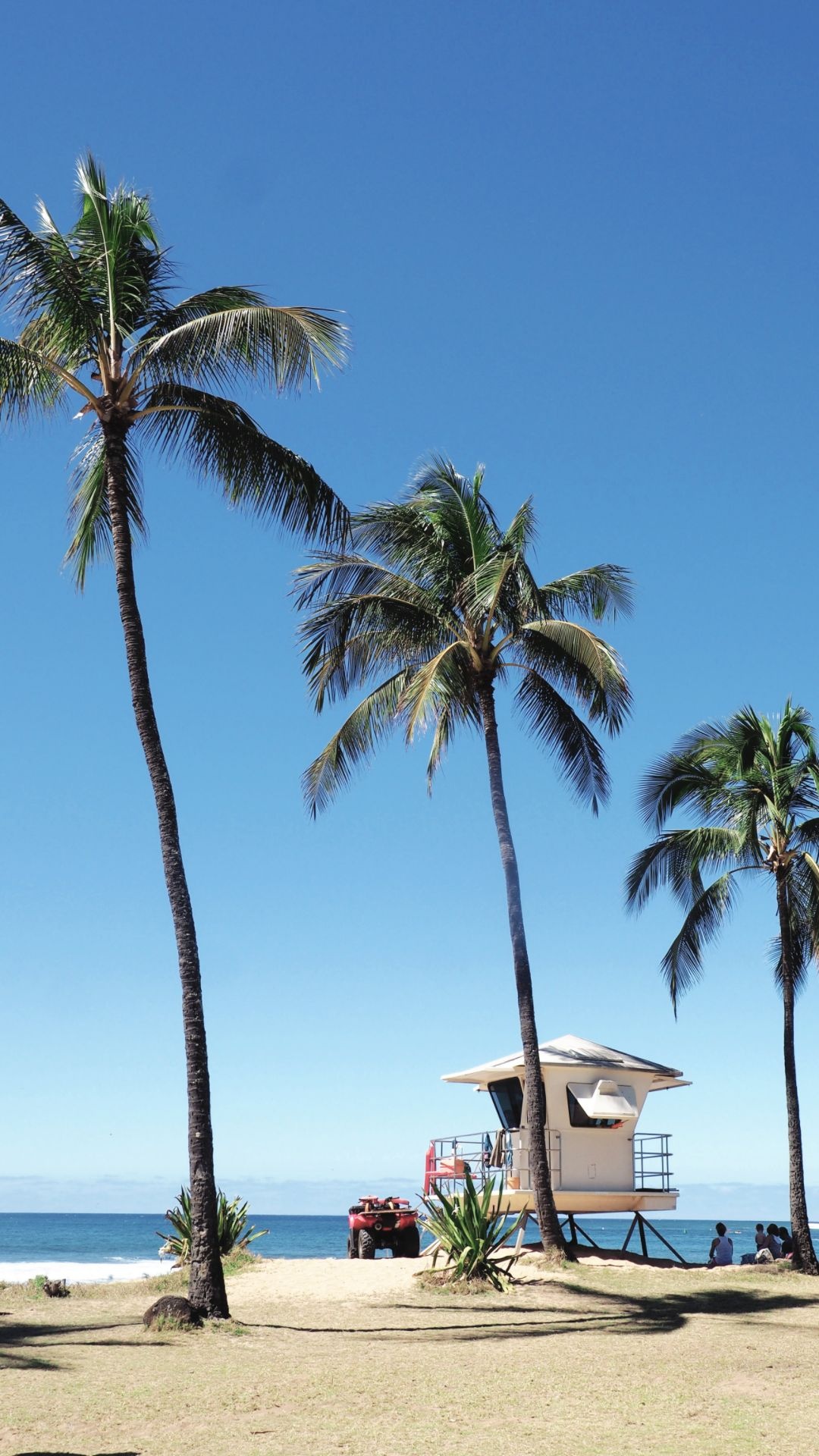 Hawaiian paradise, Pristine beaches, Majestic volcanoes, Lush greenery, 1080x1920 Full HD Phone