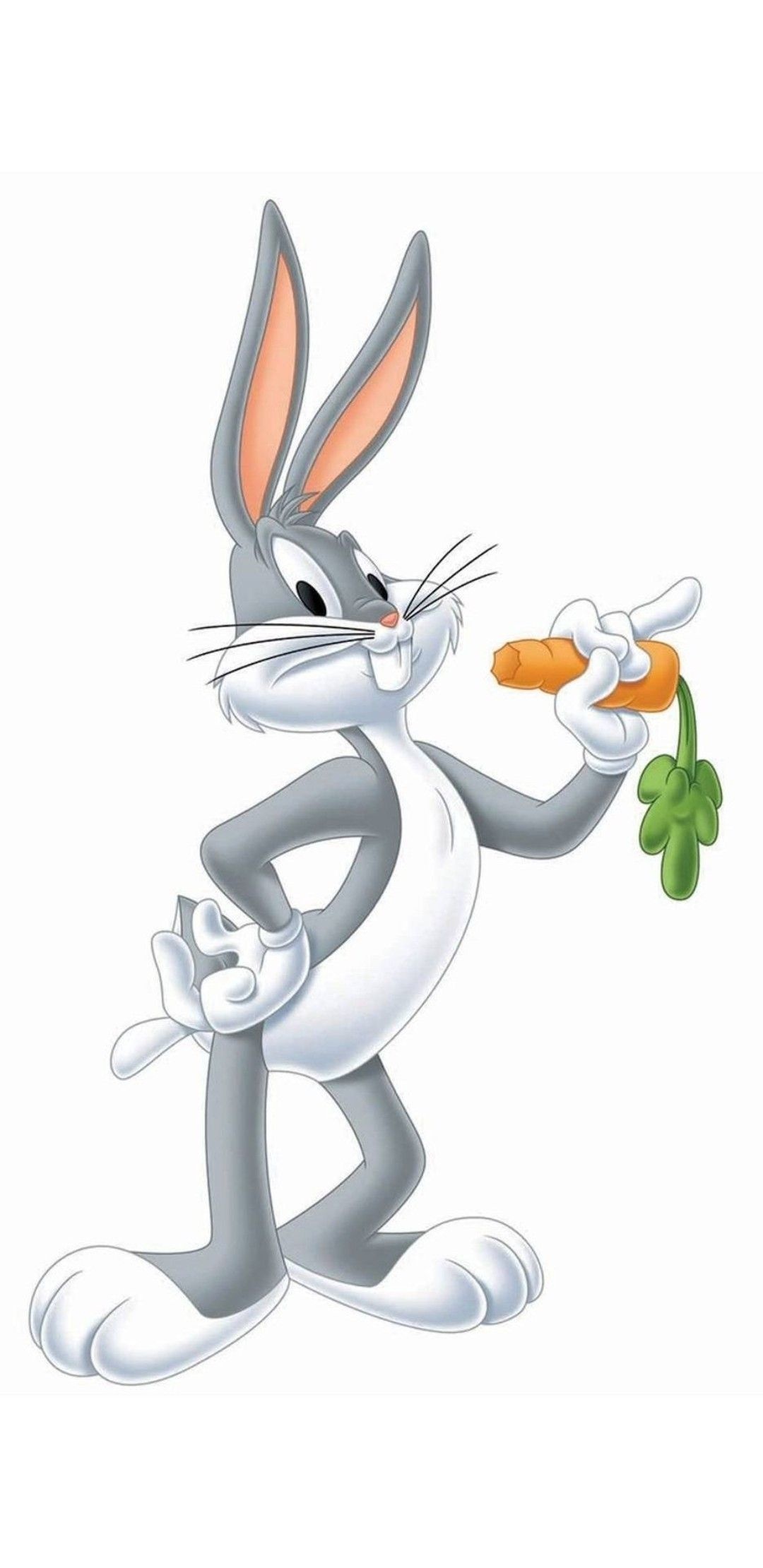 Looney Tunes wallpaper, Bunny wallpaper, Bugs Bunny drawing, 1080x2220 HD Handy