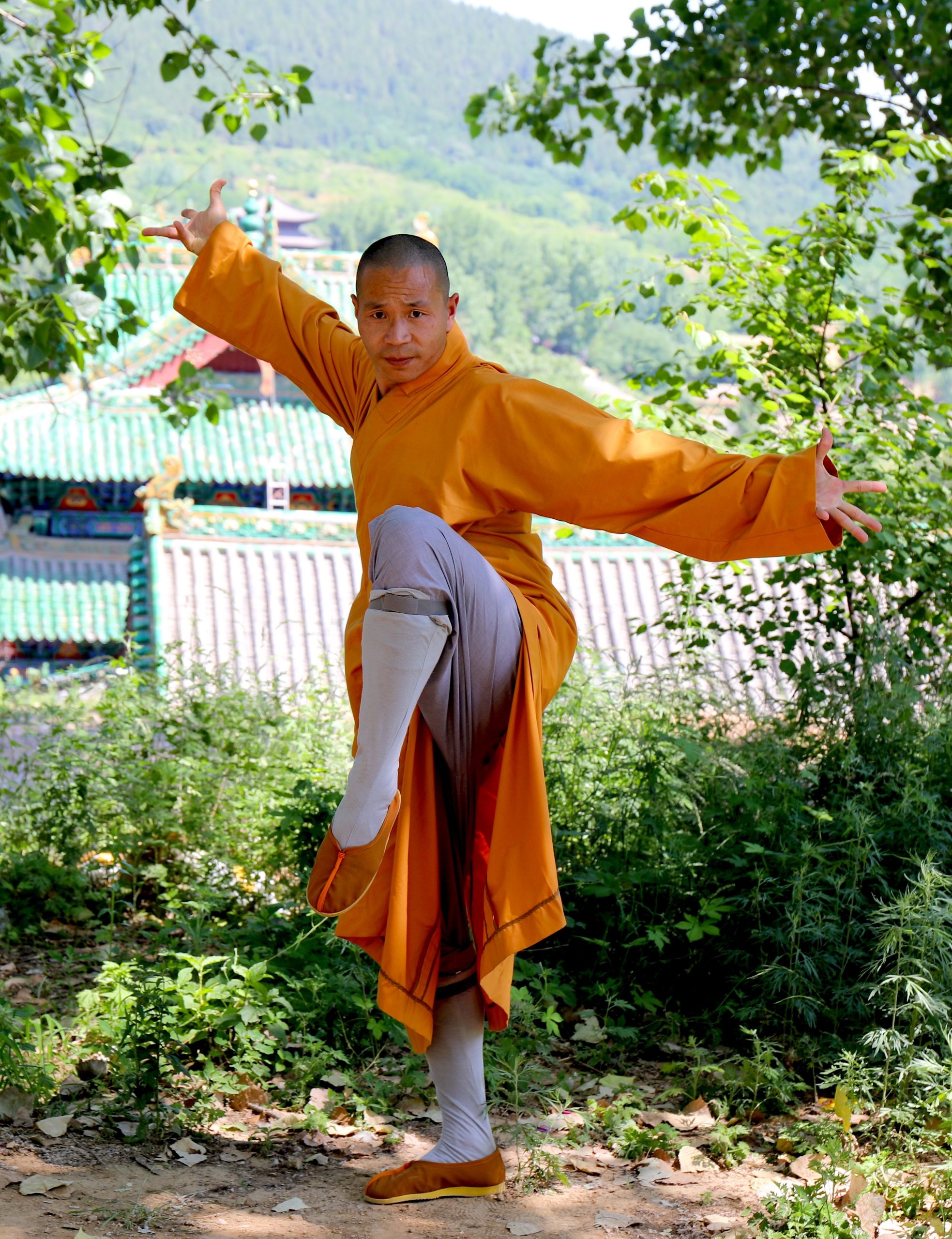 Shaolin Kung Fu: The 72 arts performed by a monk, Soft and hard qigong exercises, Yin and Yang. 1970x2560 HD Wallpaper.