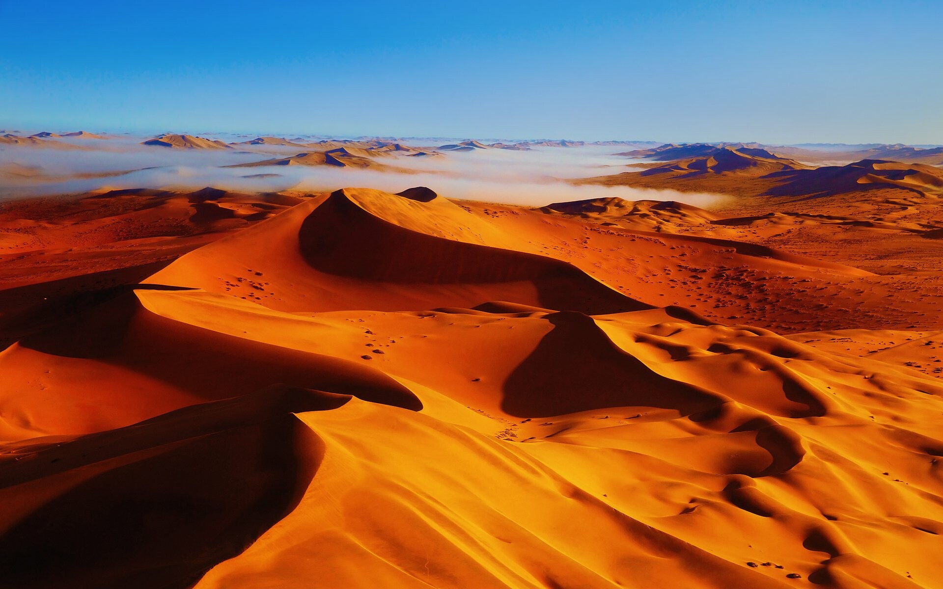 Desert: Animals adapted to live in deserts are called xerocoles, Aeolian landform. 1920x1200 HD Wallpaper.