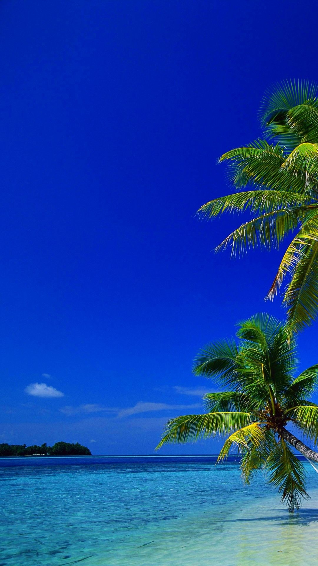 Caribbean iPhone wallpapers, Tropical paradise, Beach scenes, Phone personalization, 1080x1920 Full HD Handy