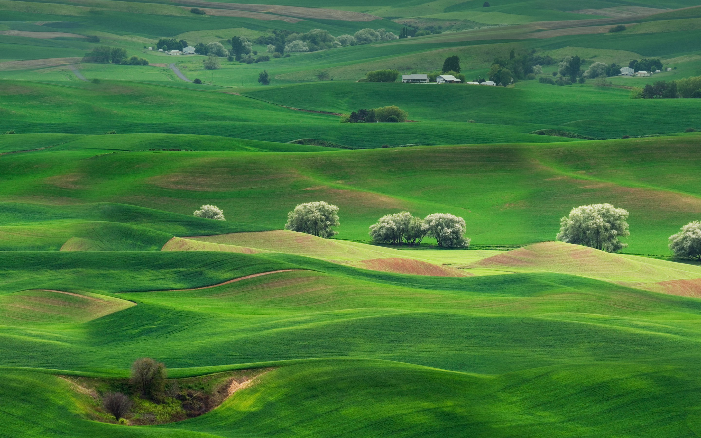 Grassland: On the open air, Serenity, Platteland, Land topography, Natural features. 2880x1800 HD Wallpaper.