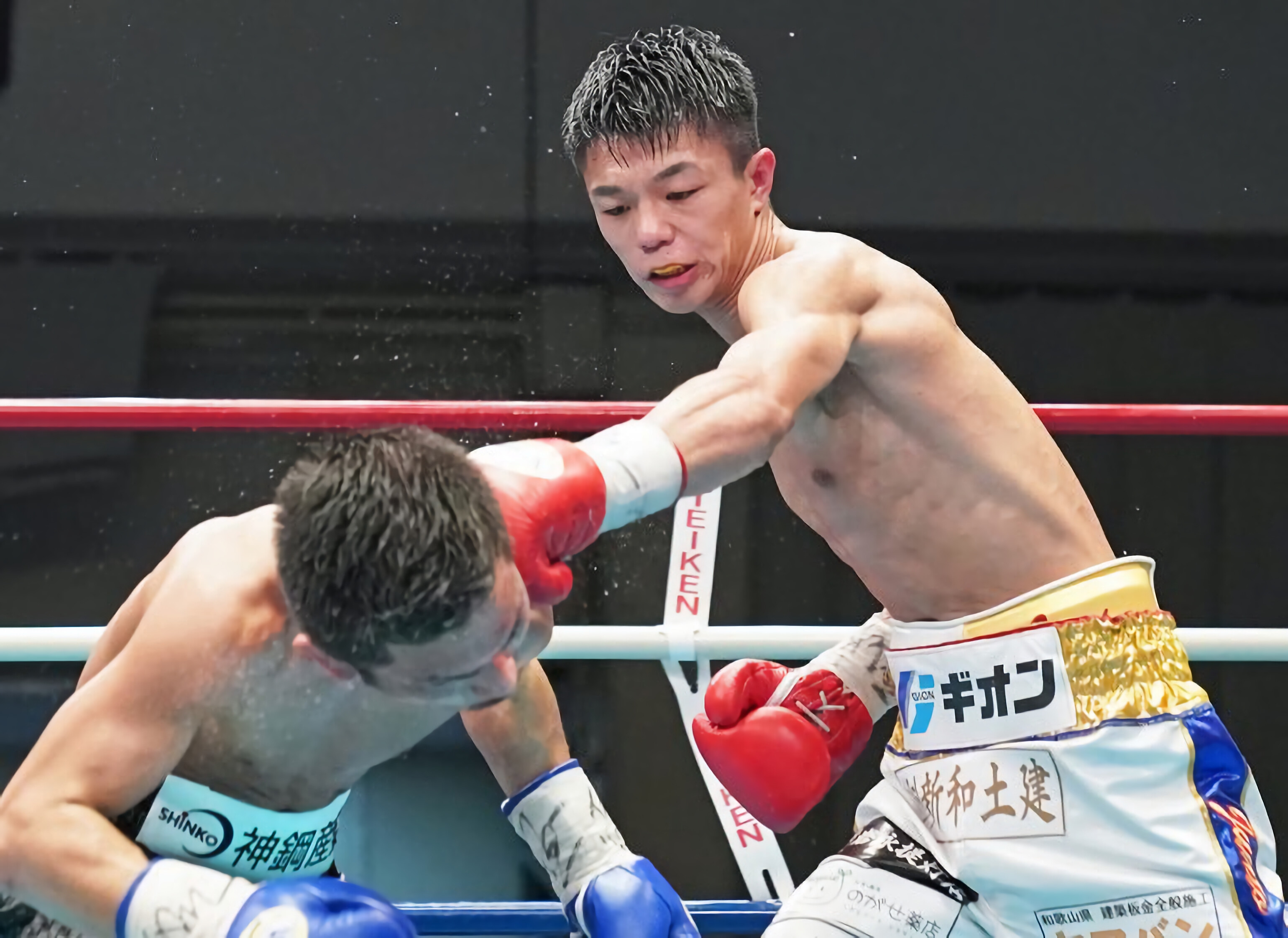 Junto Nakatani, Boxing dominance, Unmatched skill, Undeniable champion, 3080x2250 HD Desktop
