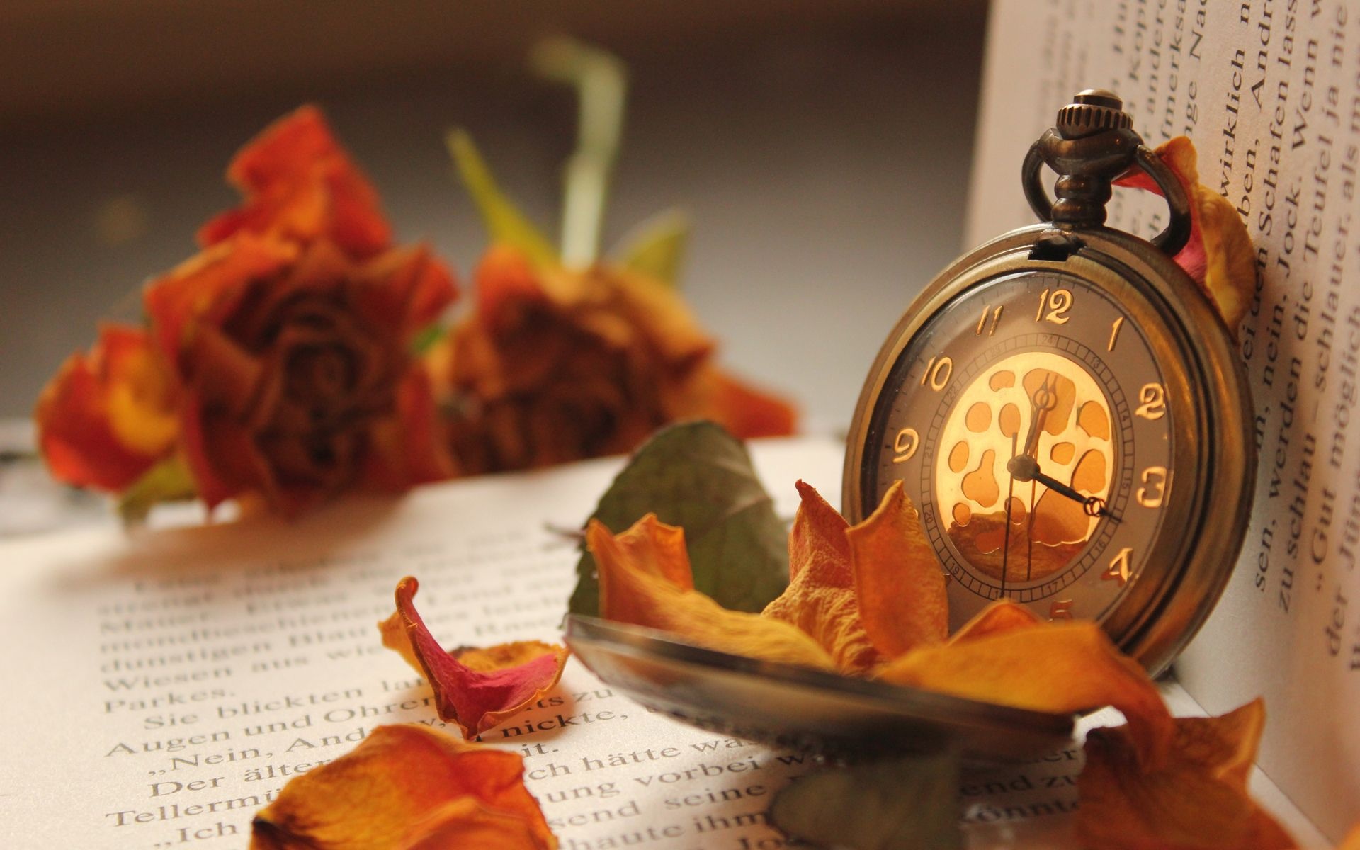 Autumn time clock, Flower phone wallpaper, Seasonal clock, Nature motif, 1920x1200 HD Desktop
