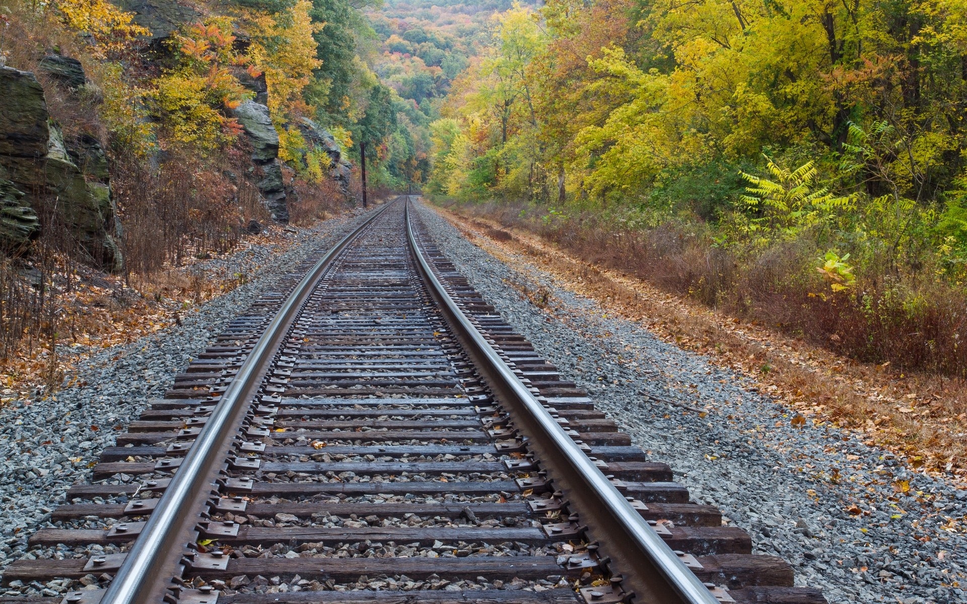Railway track lane, Autumn scenery, Rolling stock, Tranquil atmosphere, 1920x1200 HD Desktop
