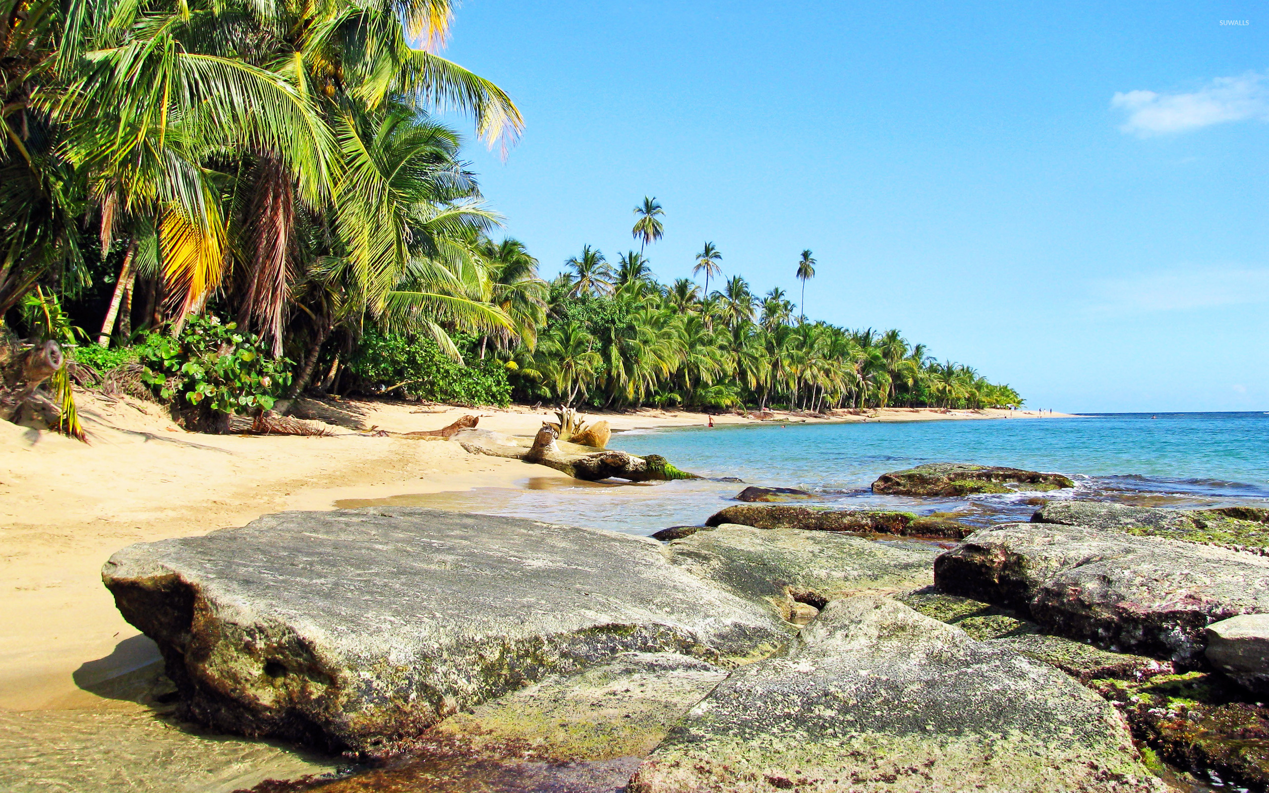 Puerto Viejo, Beach wallpaper, Tropical paradise, Caribbean coast, 2560x1600 HD Desktop