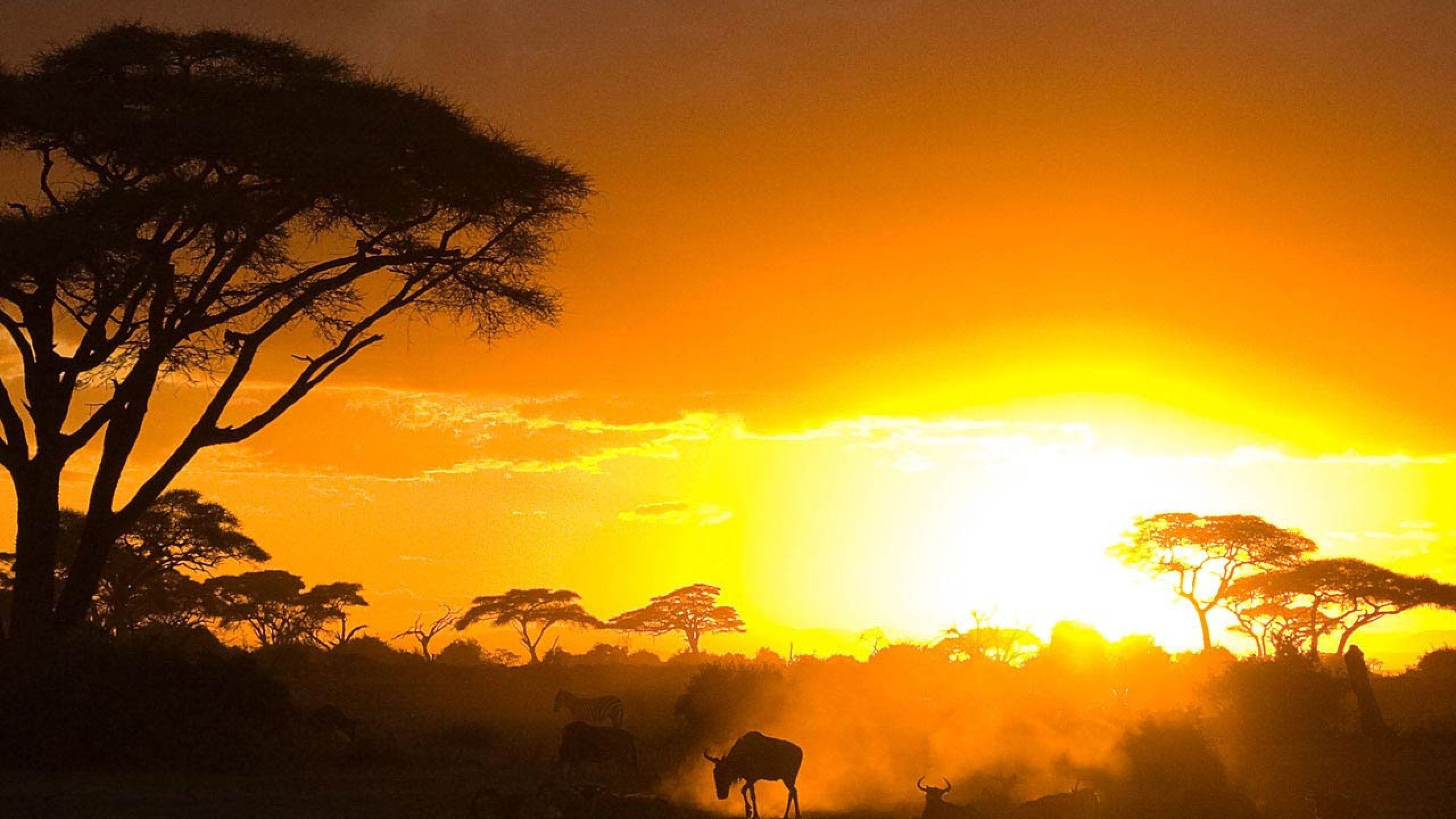 Kenyan wallpapers, Breathtaking sceneries, Vibrant culture, African beauty, 2560x1440 HD Desktop