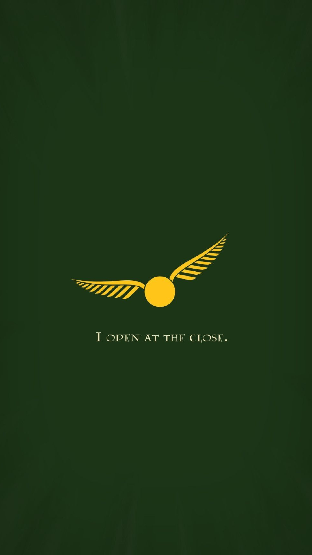 Slytherin Quidditch team, Seeker wallpapers, Cunning tactics, House unity, 1080x1920 Full HD Phone