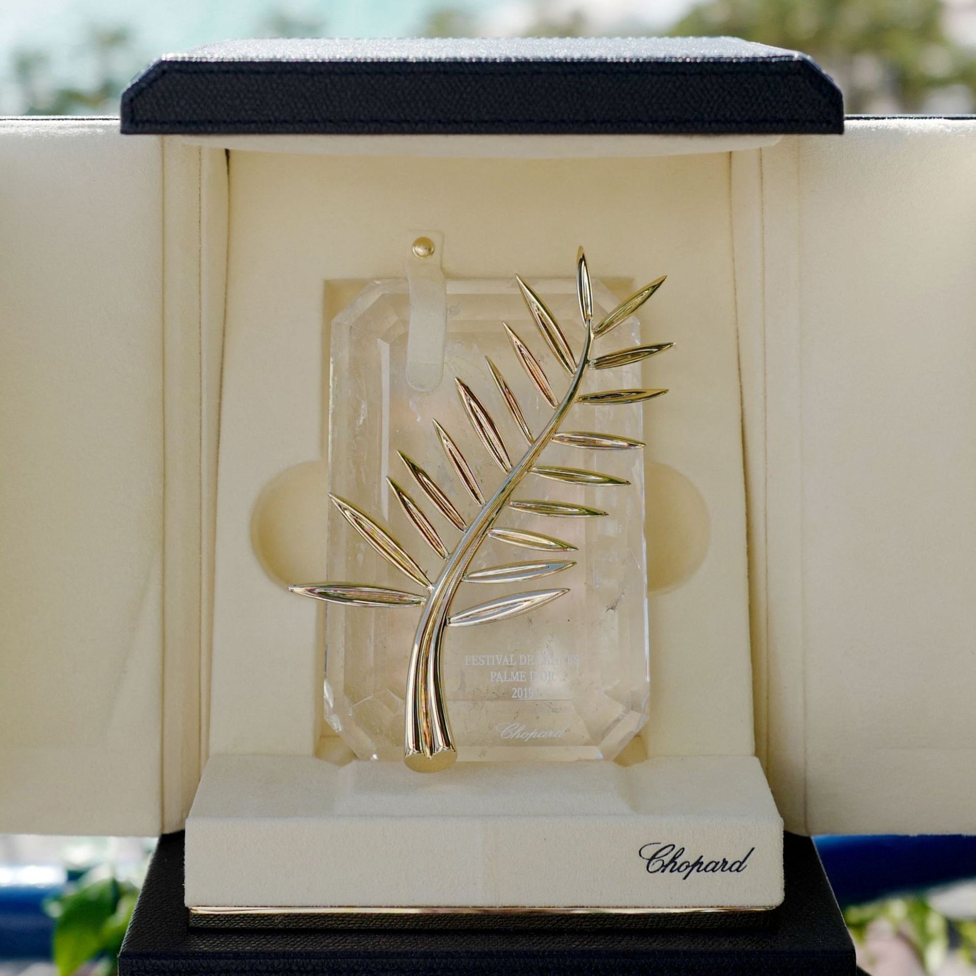 Golden Palm, 74th Festival de Cannes, En chiffres, 1920x1920 HD Phone