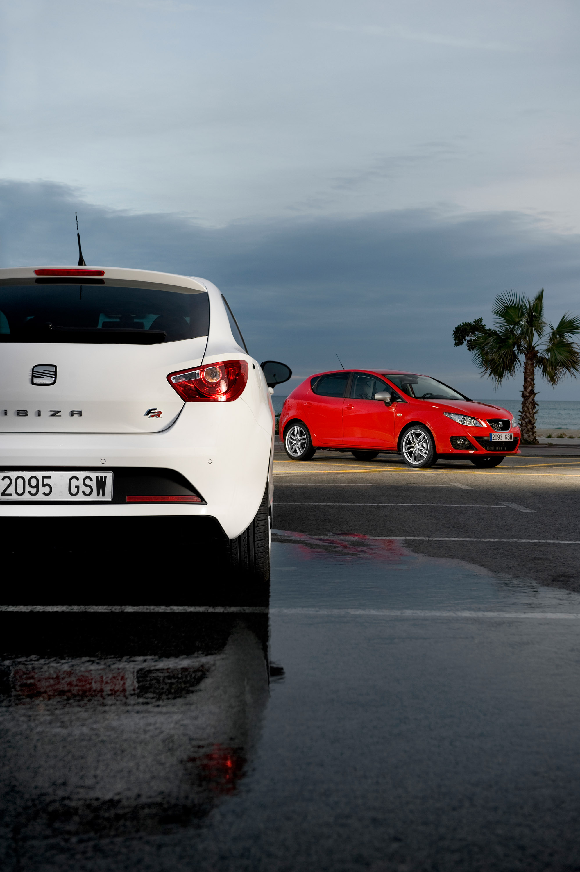 Seat Ibiza FR, Powerful diesel engine, HD picture of seat Ibiza, Model 2010, 2000x3000 HD Phone
