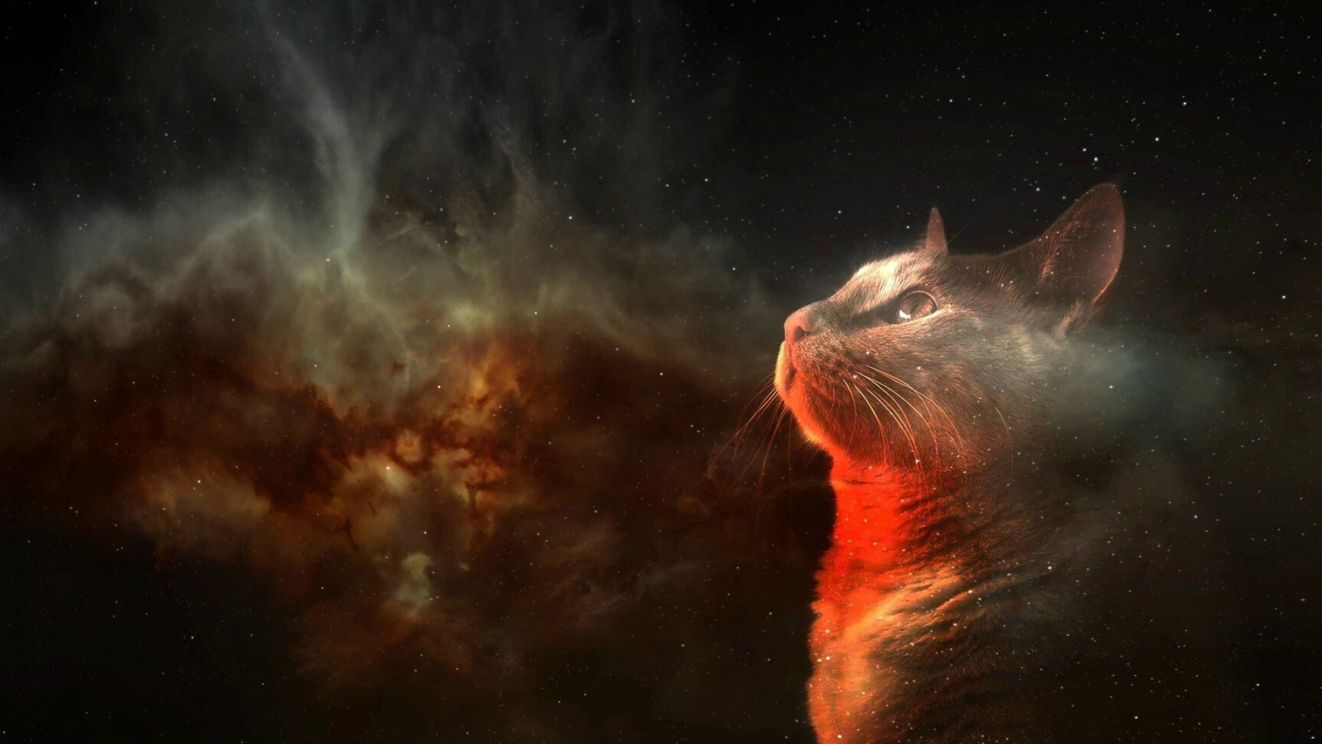 Astronaut cats, Outer space adventure, Cosmic felines, Starry night, 1920x1080 Full HD Desktop