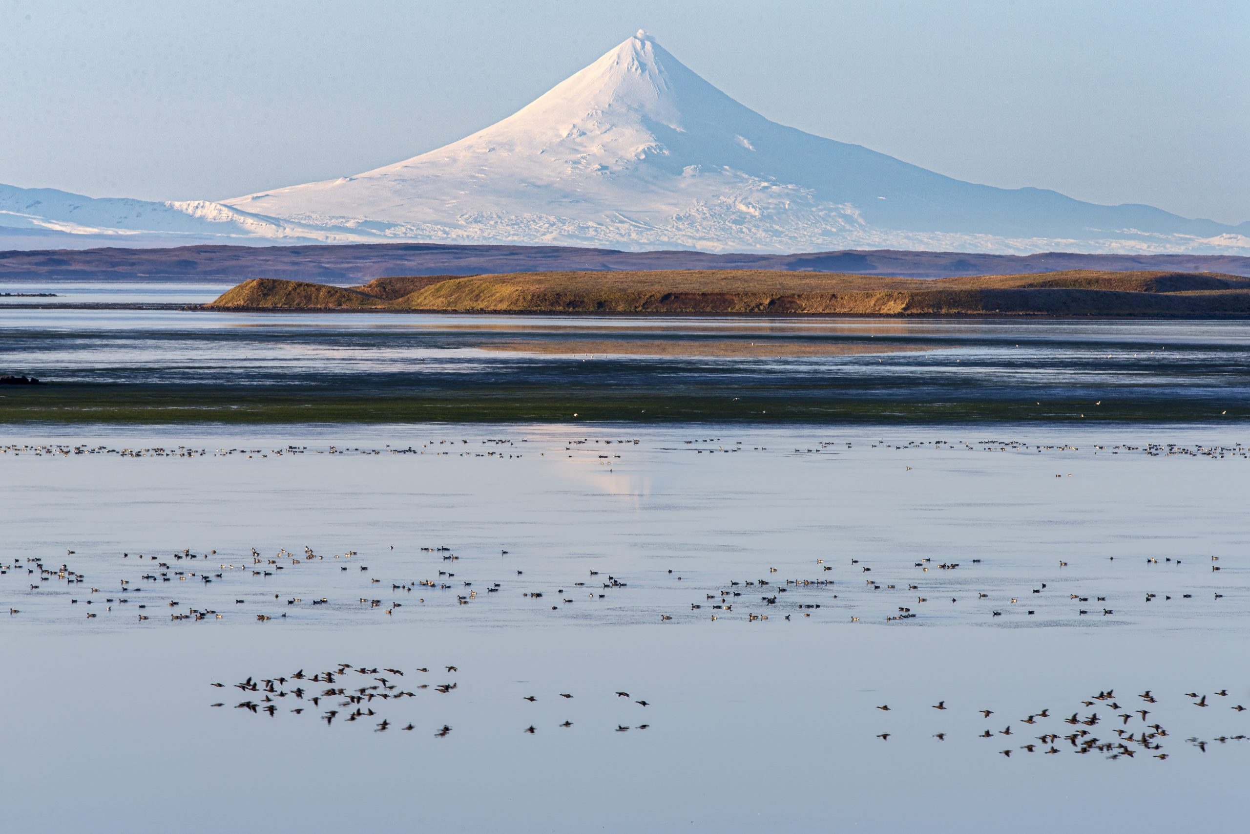 Shishaldin Volcano, Alaska magazine, Izembek national wildlife refuge, Photos, 2560x1710 HD Desktop