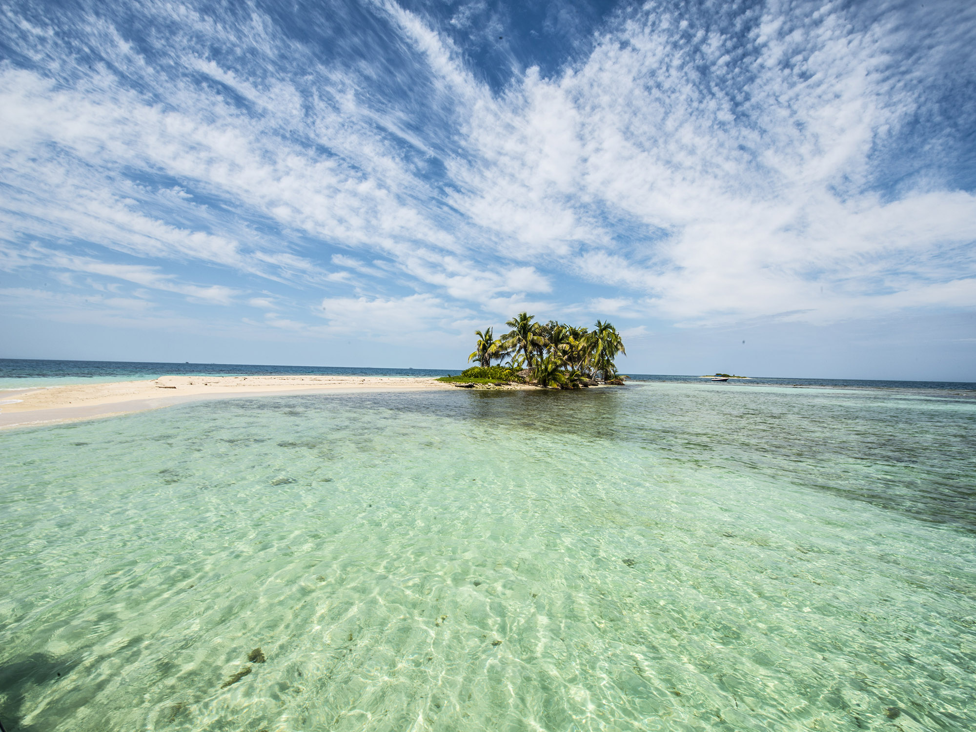 Belize, Marine Life, Travel Belize, 2000x1500 HD Desktop