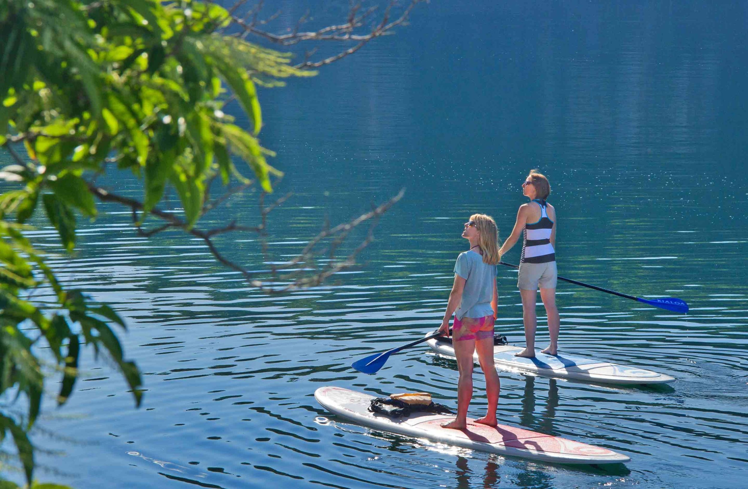 Stand up paddleboarding in New River Gorge, Ace Adventure Resort, West Virginia, Whitewater paddleboarding, 2500x1640 HD Desktop