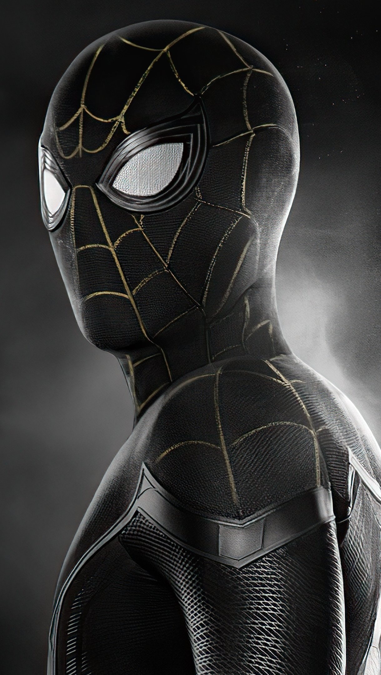 Spider-Man, Black suit, No Way Home, 1220x2160 HD Phone