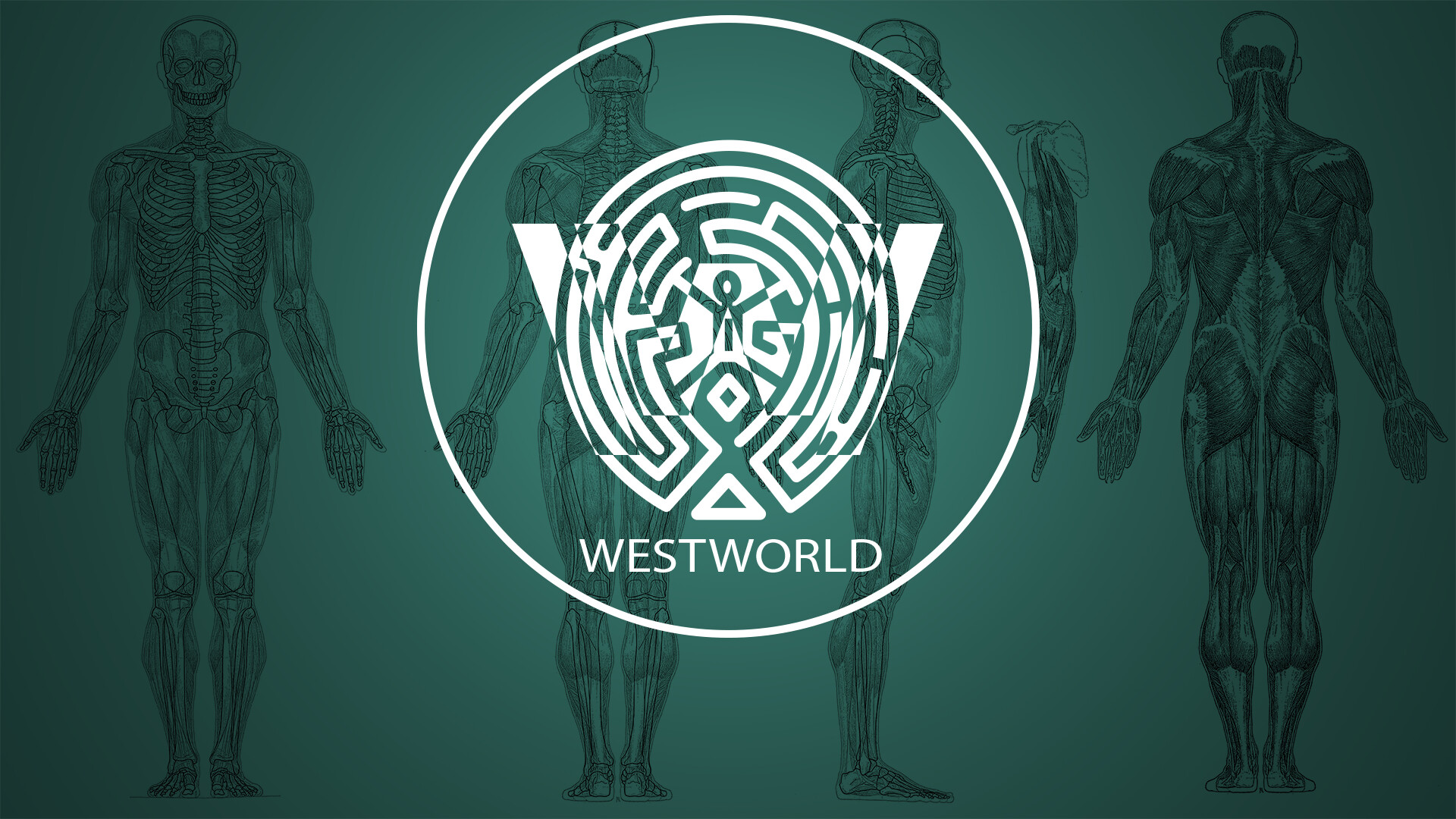 Westworld: Sci-fi drama set in a Western-themed amusement park at the intersection of the near future and the reimagined past. 1920x1080 Full HD Wallpaper.