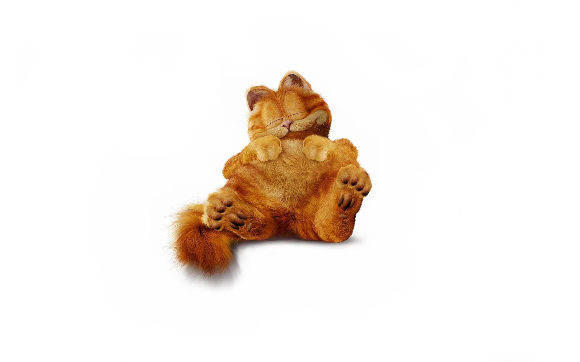 Garfield: Cat, renowned for his laziness, love for lasagna, and hatred for Mondays. 1920x1200 HD Wallpaper.