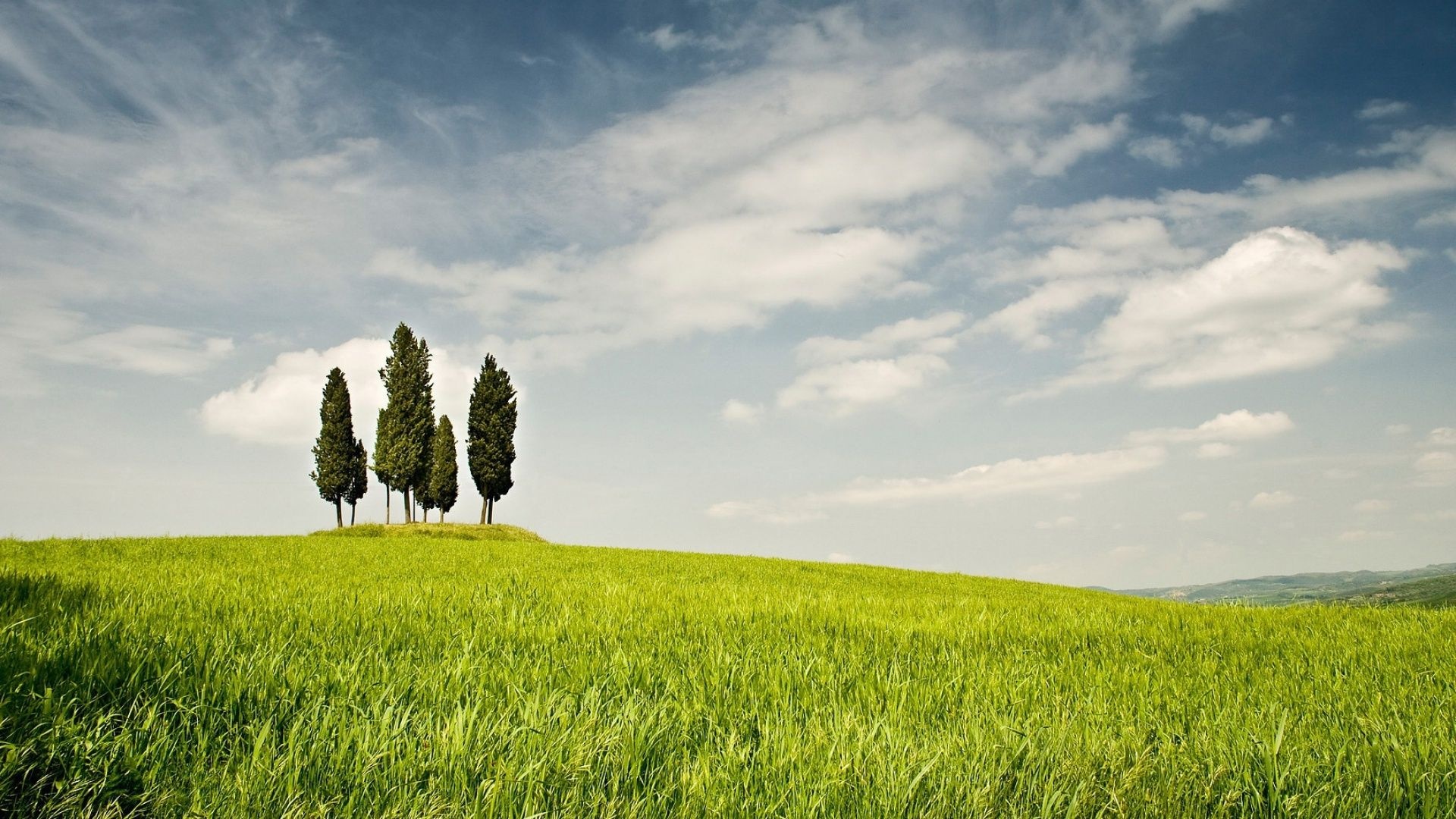 Grass and Sky: Trees on a hill, Grey sky, Scenery, Ecosphere, Green area, Isolation. 1920x1080 Full HD Background.