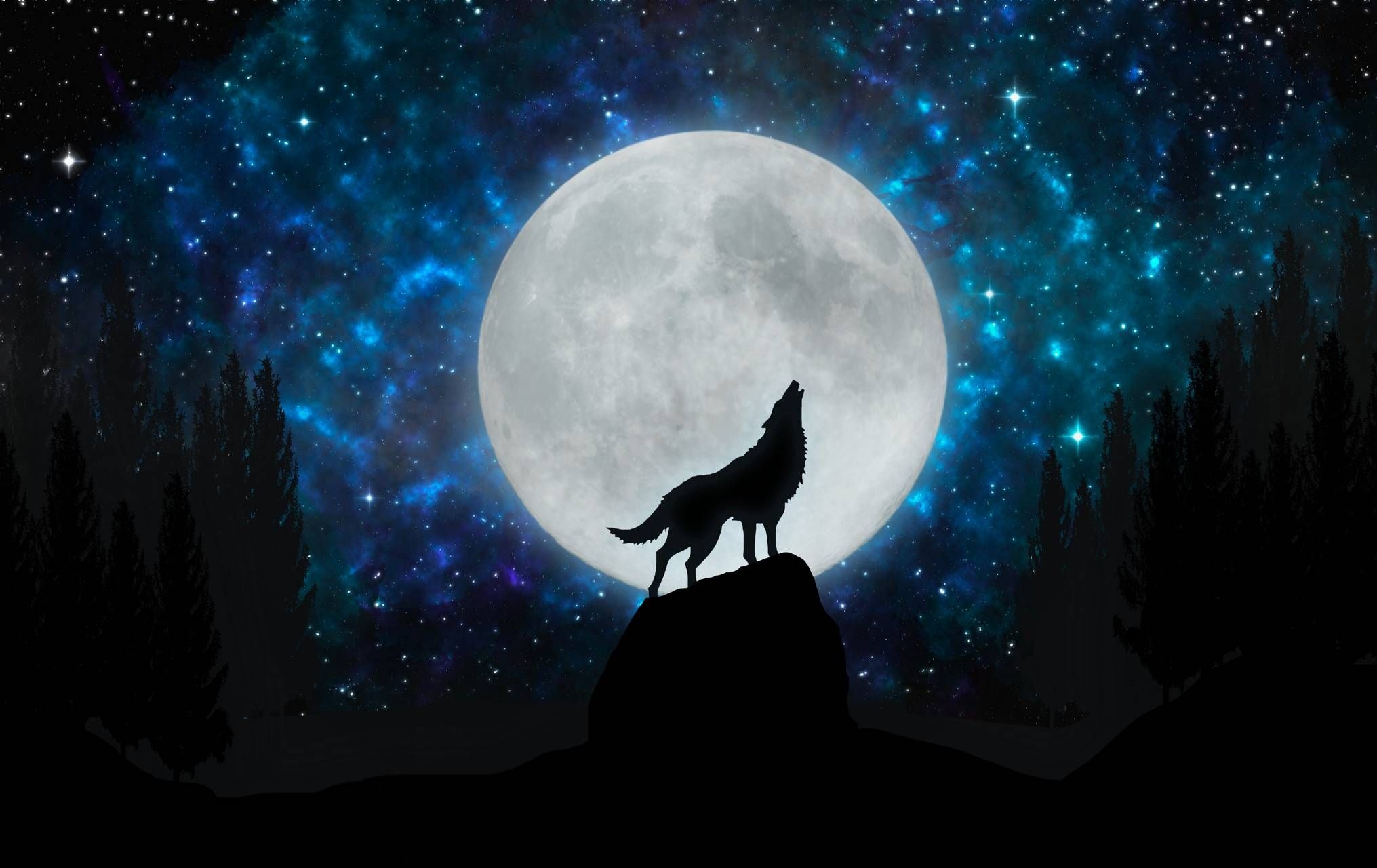 Howling Wolf, Wolf wallpaper by Lugia100, Download on Zedgeacirc132cent, 57f9, 2040x1280 HD Desktop