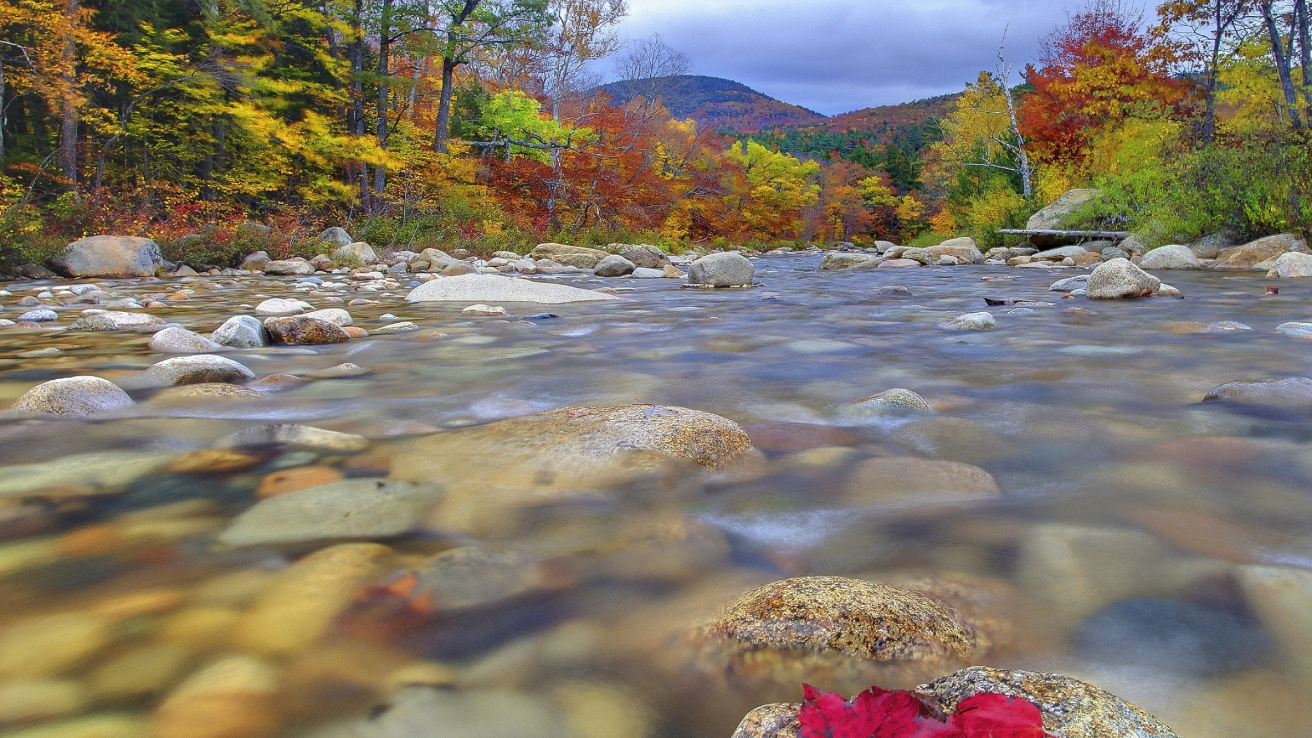 New Hampshire wallpapers, Variety of options, HD quality, 2560x1440 HD Desktop
