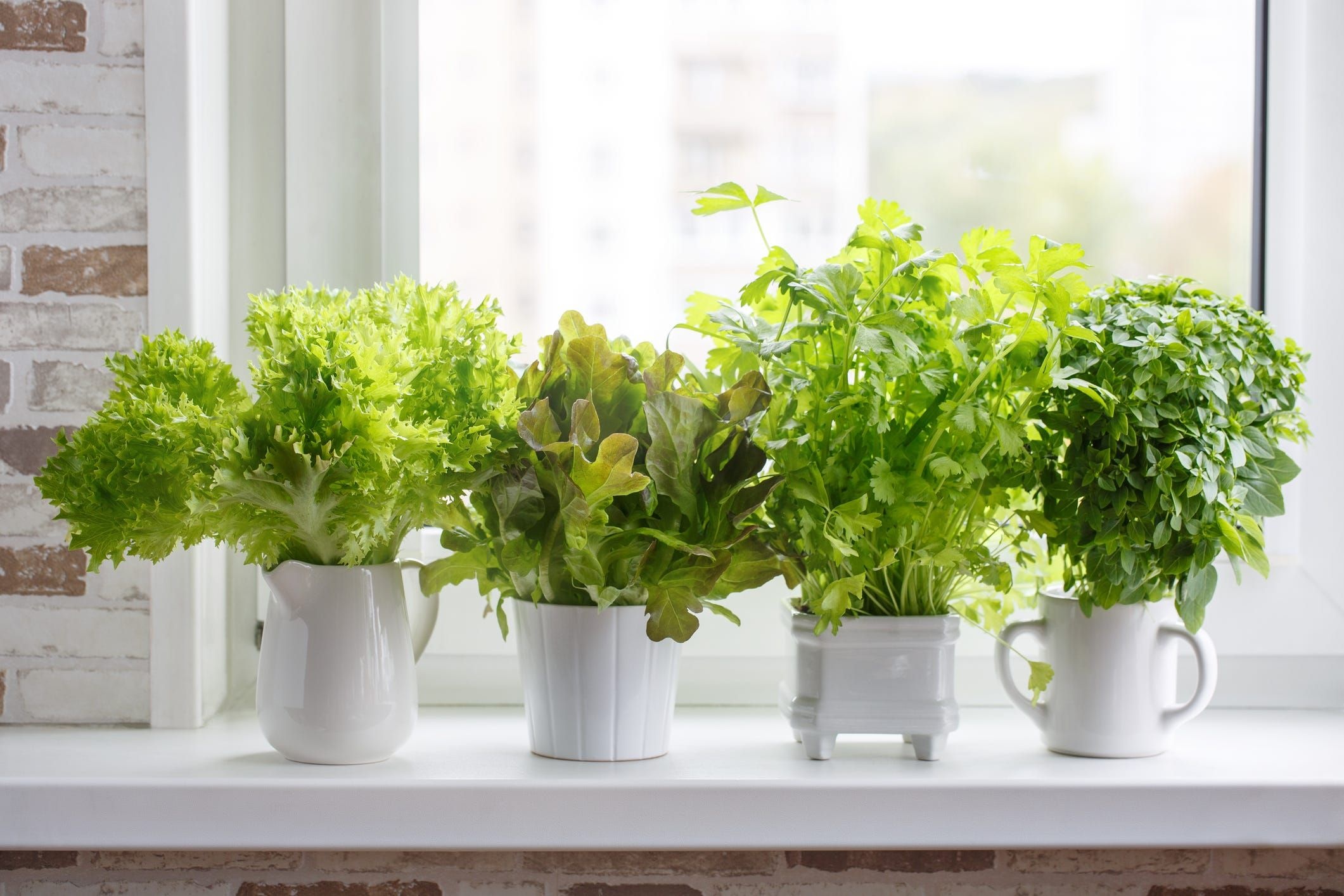 Indoor herb garden, Kitchen inspiration, Green oasis, Stylish plant display, 2130x1420 HD Desktop