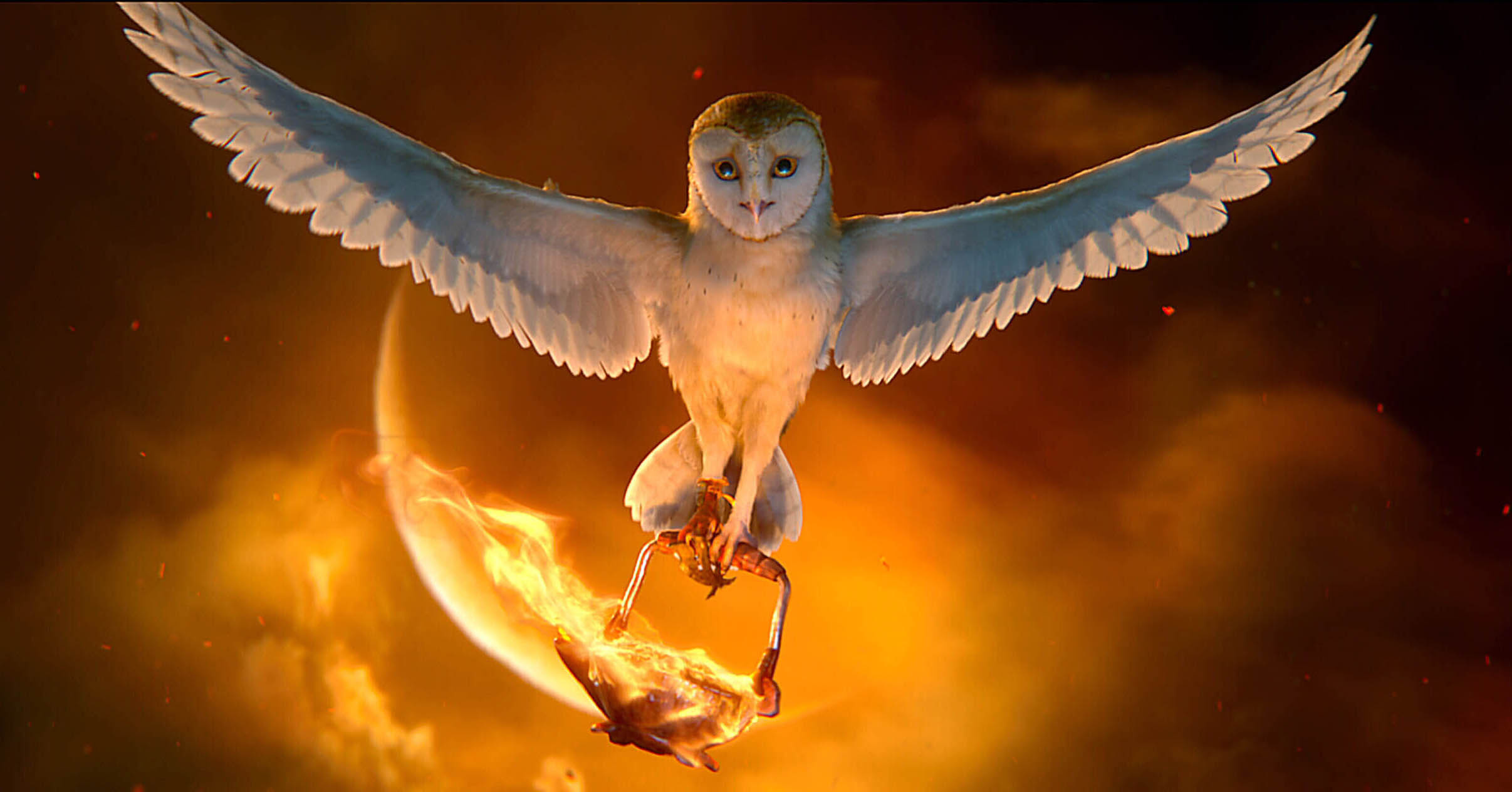 Legend of the Guardians, Owls of GaHoole, GaHoole film review, animated adventure, 2420x1270 HD Desktop