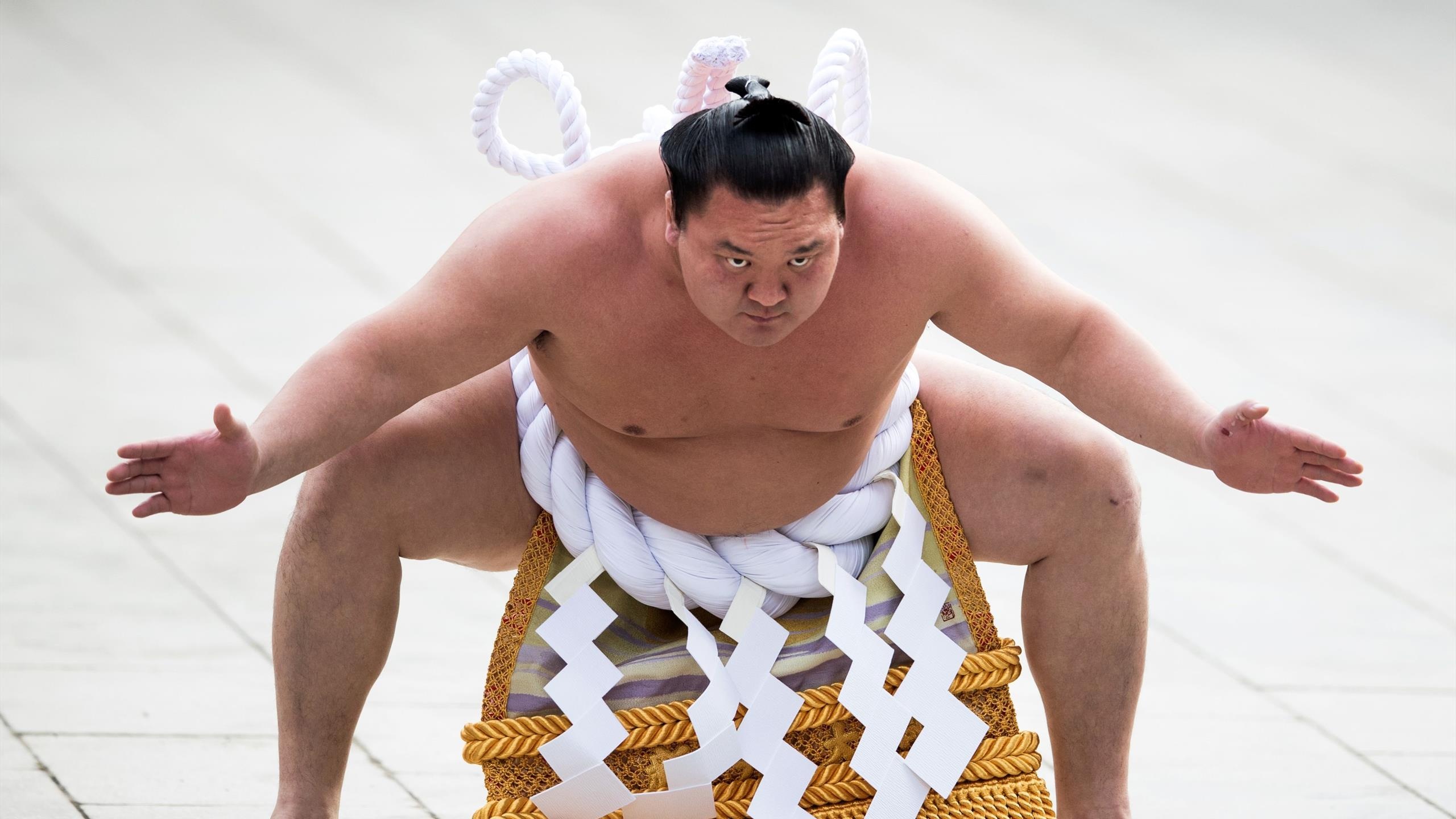 Sumo: Hakuho Sho, A retired professional rikishi from Mongolia, Yokozuna - the highest rank in sumo. 2560x1440 HD Background.