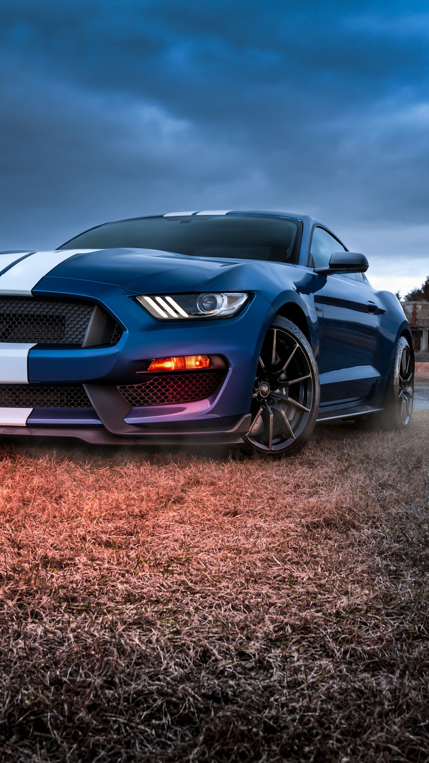 Ford: Shelby GT500, The highest-performing Mustang rolling out of Ford's factory. 1440x2560 HD Wallpaper.