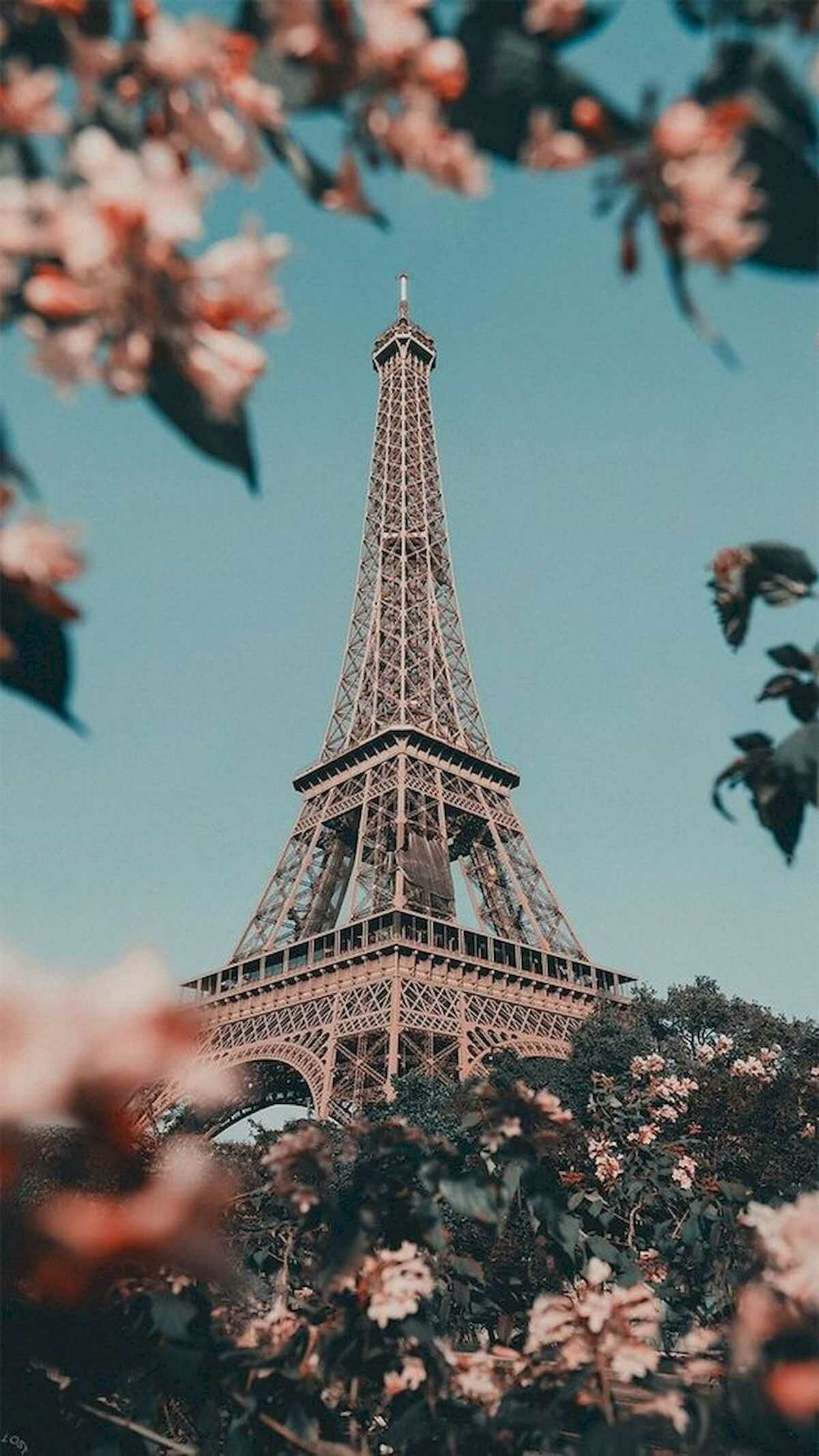 Eiffel Tower: The crown jewel of France, constructed from 1887 to 1889 as the centerpiece of the 1889 World's Fair. 1200x2140 HD Wallpaper.