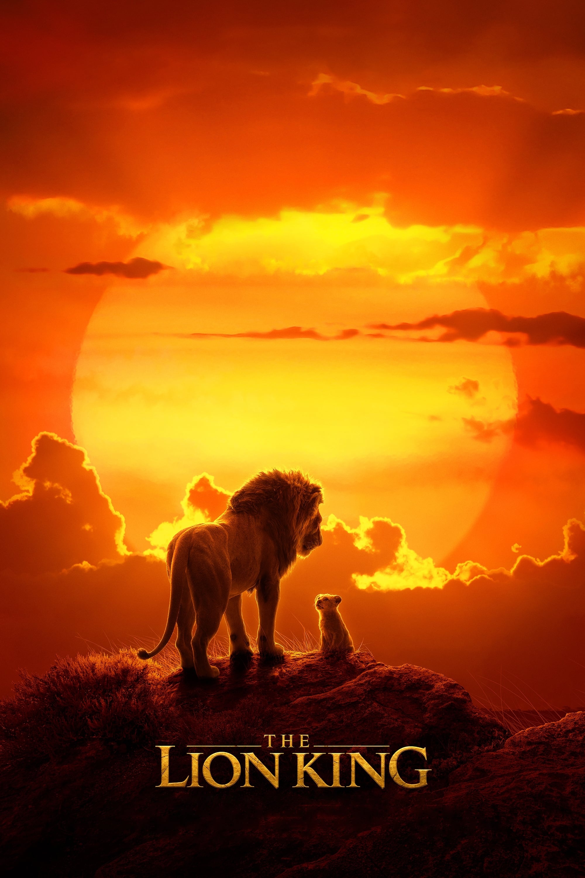 The Lion King (2019), Posters, Movie database, Tmdb, 2000x3000 HD Phone