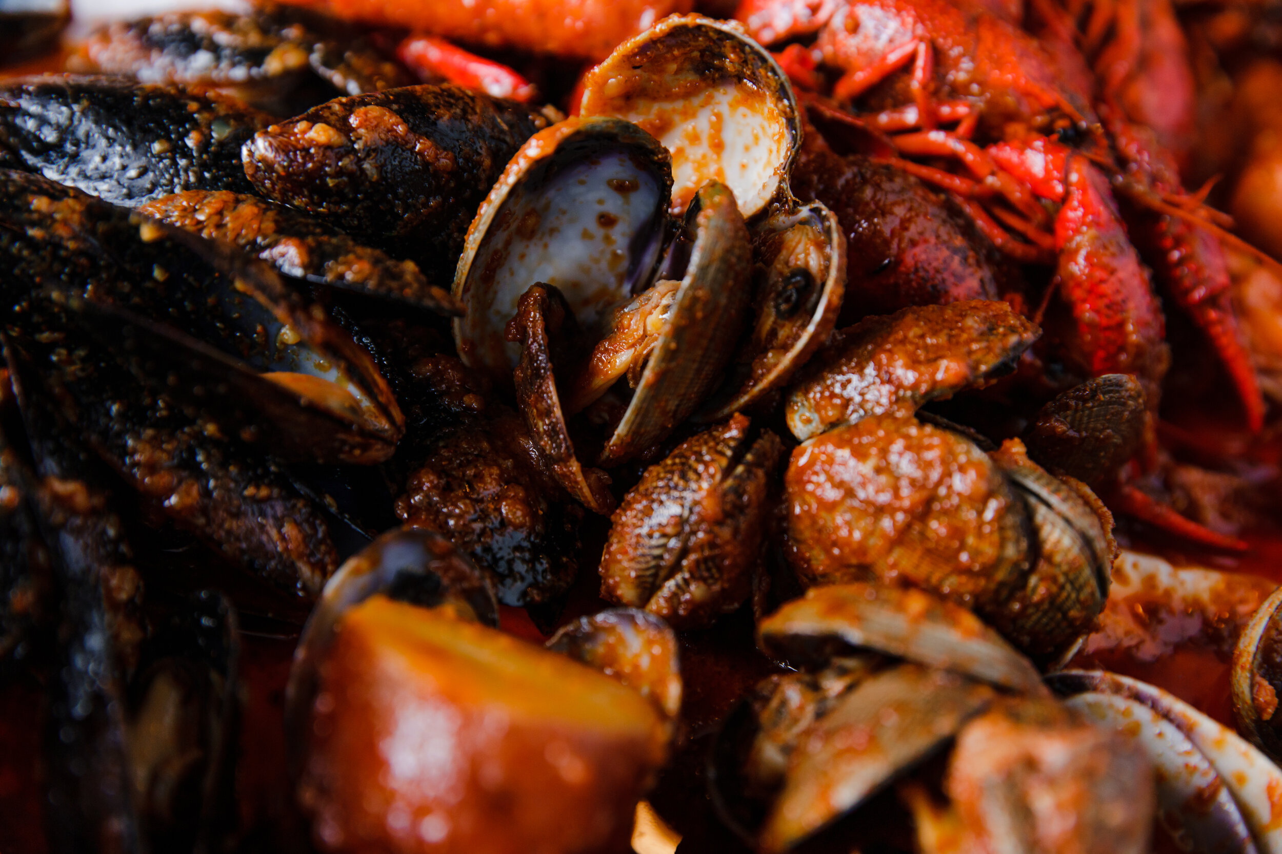 Seafood: Crab, Bivalve molluscs, Shellfish. 2500x1670 HD Wallpaper.