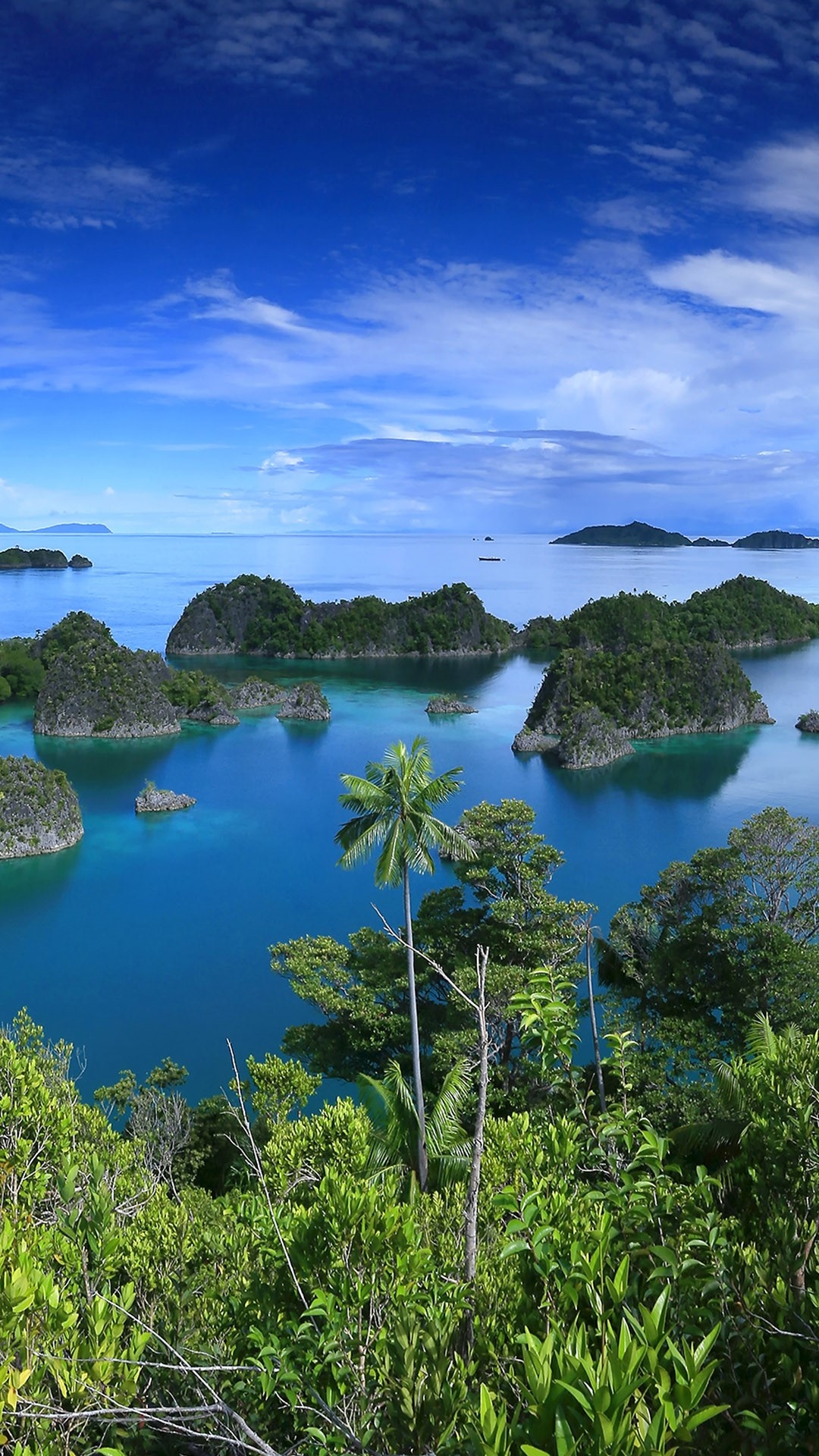 Raja Ampat Islands, West Papua province, Windows 10 spotlight images, Landscape, 1080x1920 Full HD Phone