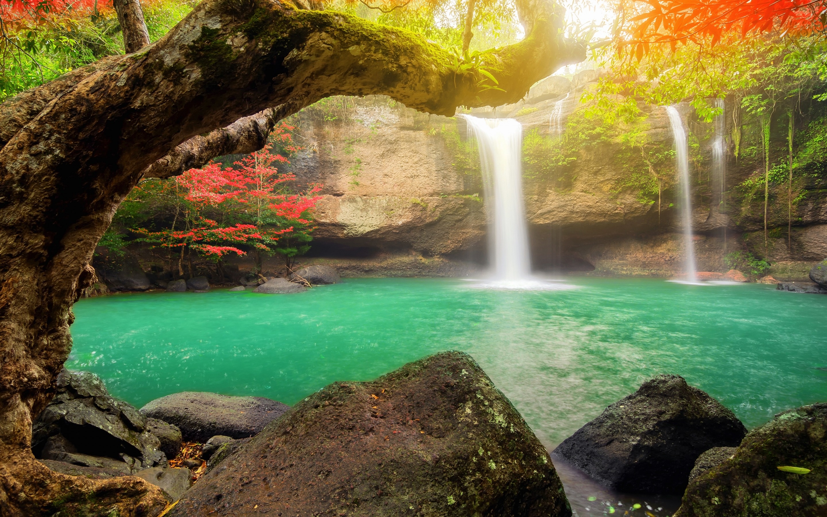 Khao Yai National Park, Herunterladen Hintergrundbild, Suwat Wasserfall, Tropical island, 2880x1800 HD Desktop
