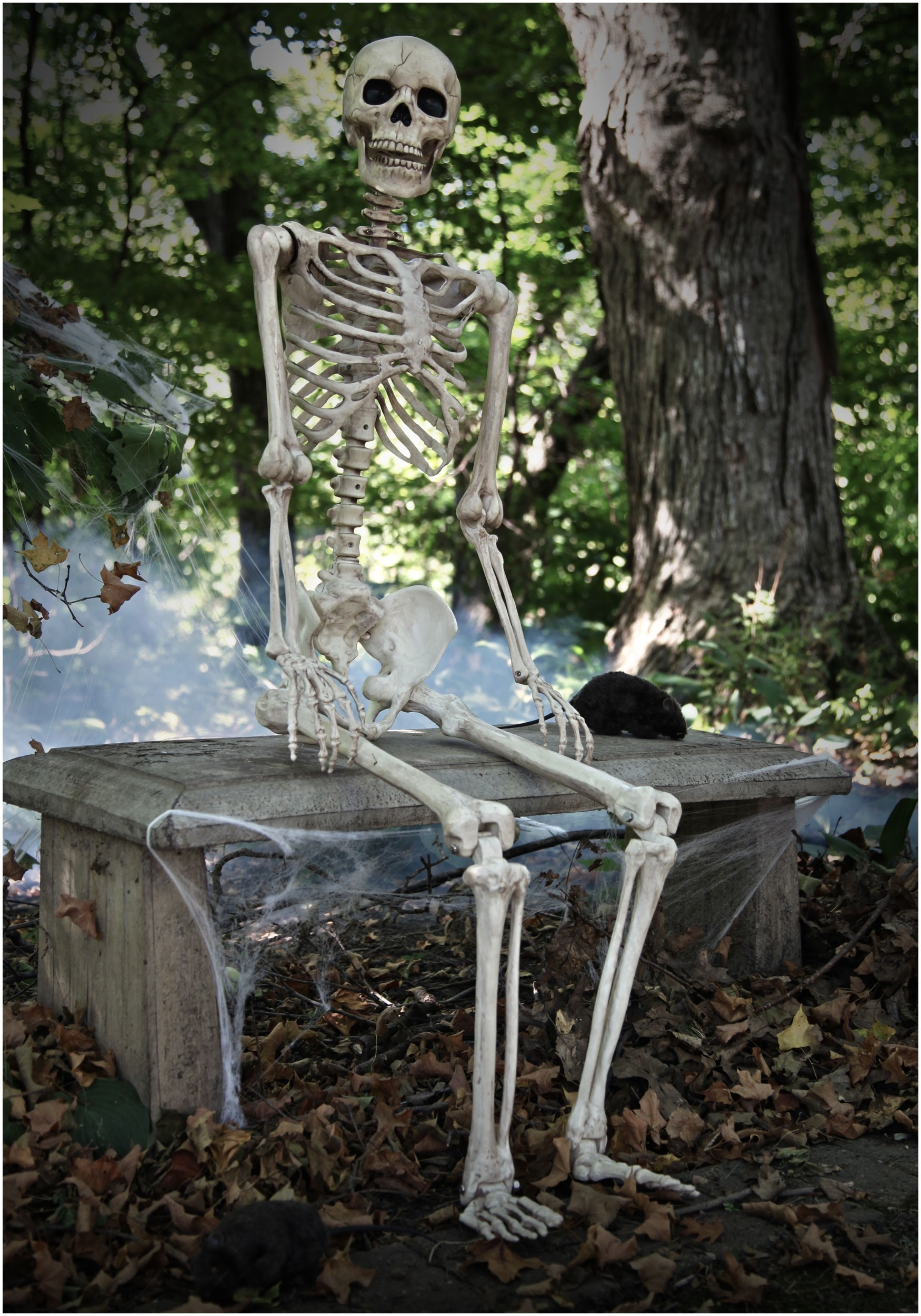 Realistic poseable skeleton, Halloween prop, Spooky decoration, Hauntingly lifelike, 1750x2500 HD Phone
