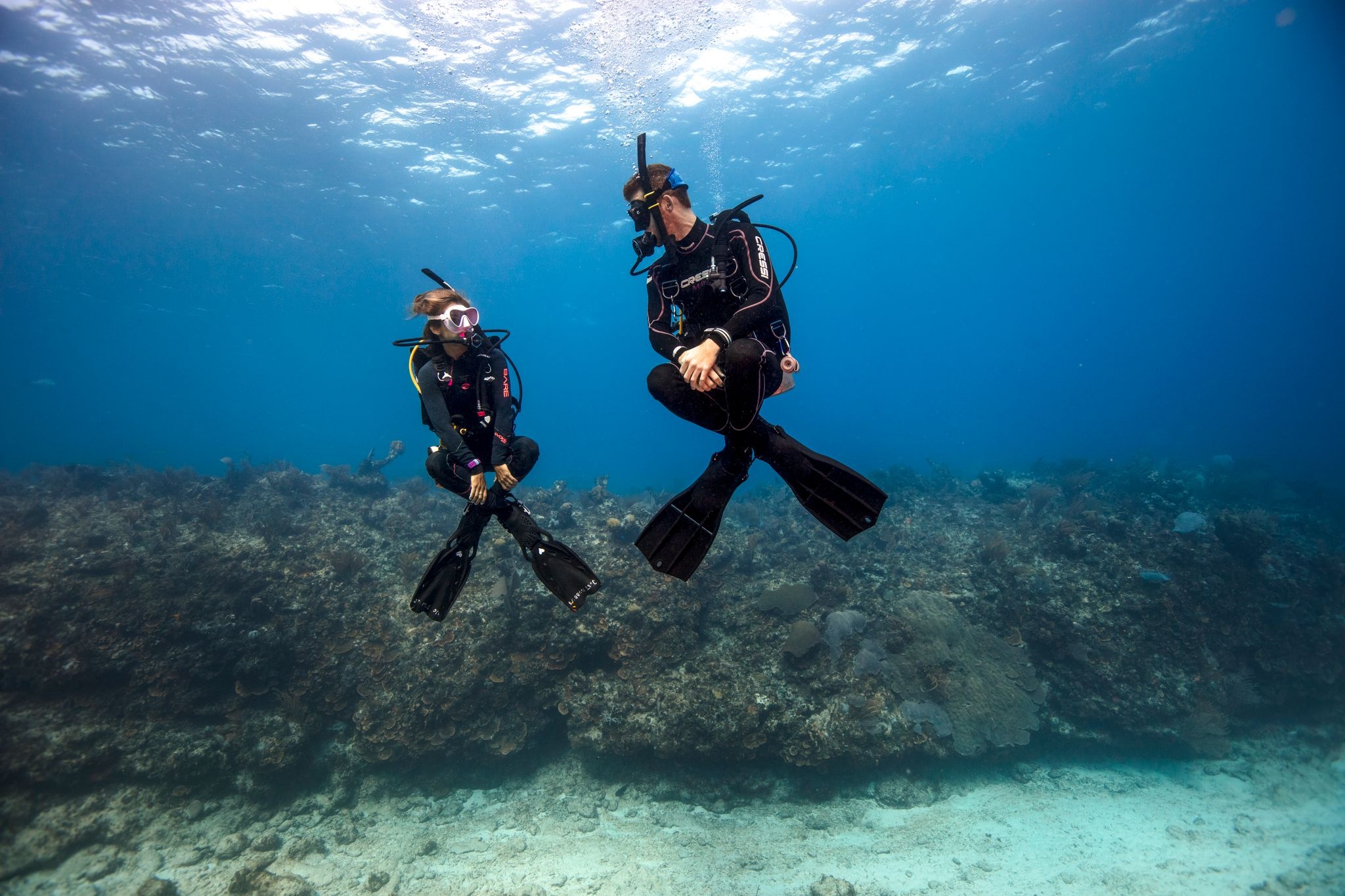 Scuba Diving: A couple of divers underwater exploring the reef and marine biology. 2050x1370 HD Background.